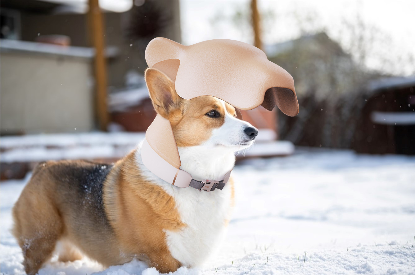 Creative collar，Pets，care，Student works，