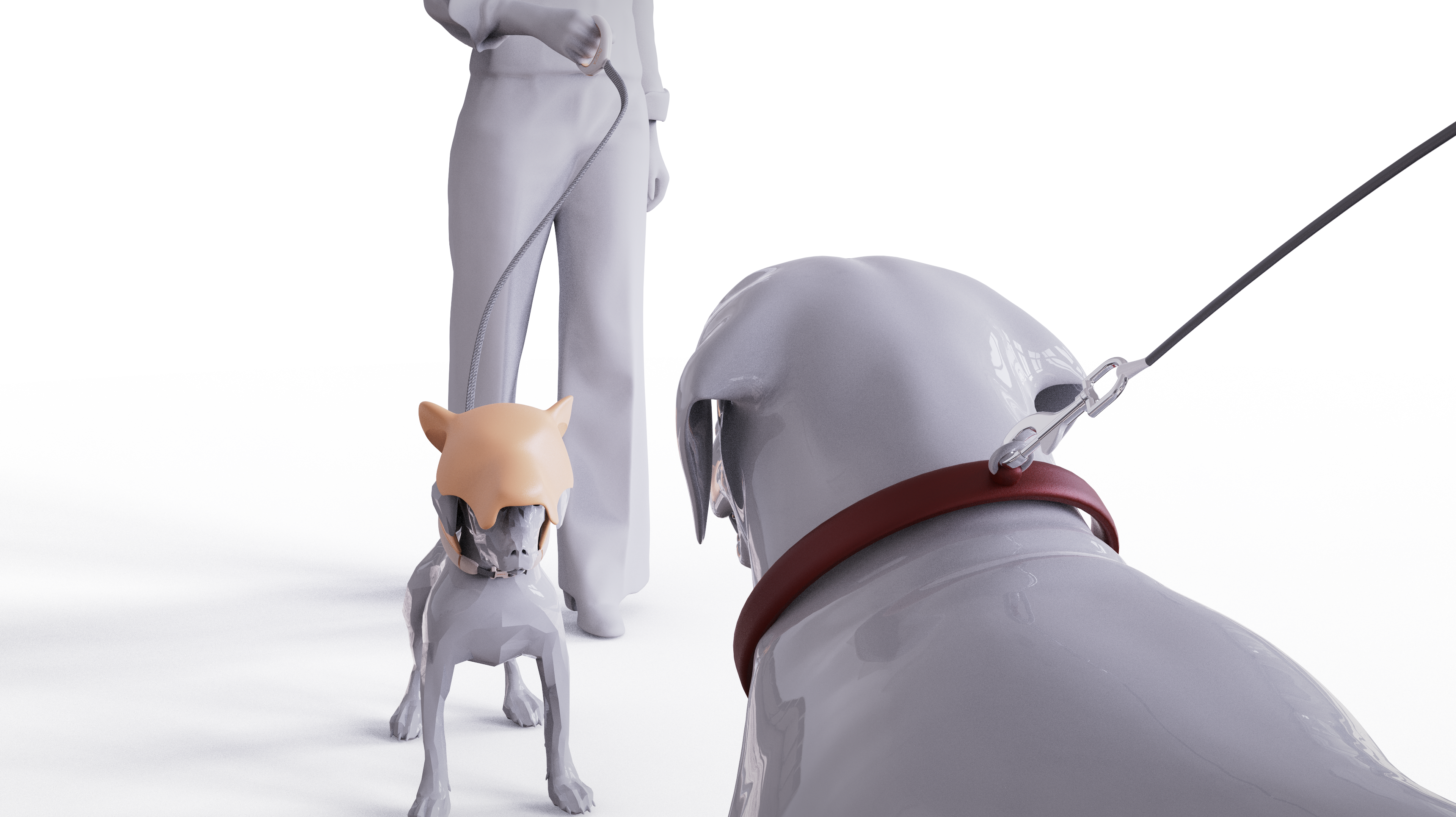 Creative collar，Pets，care，Student works，