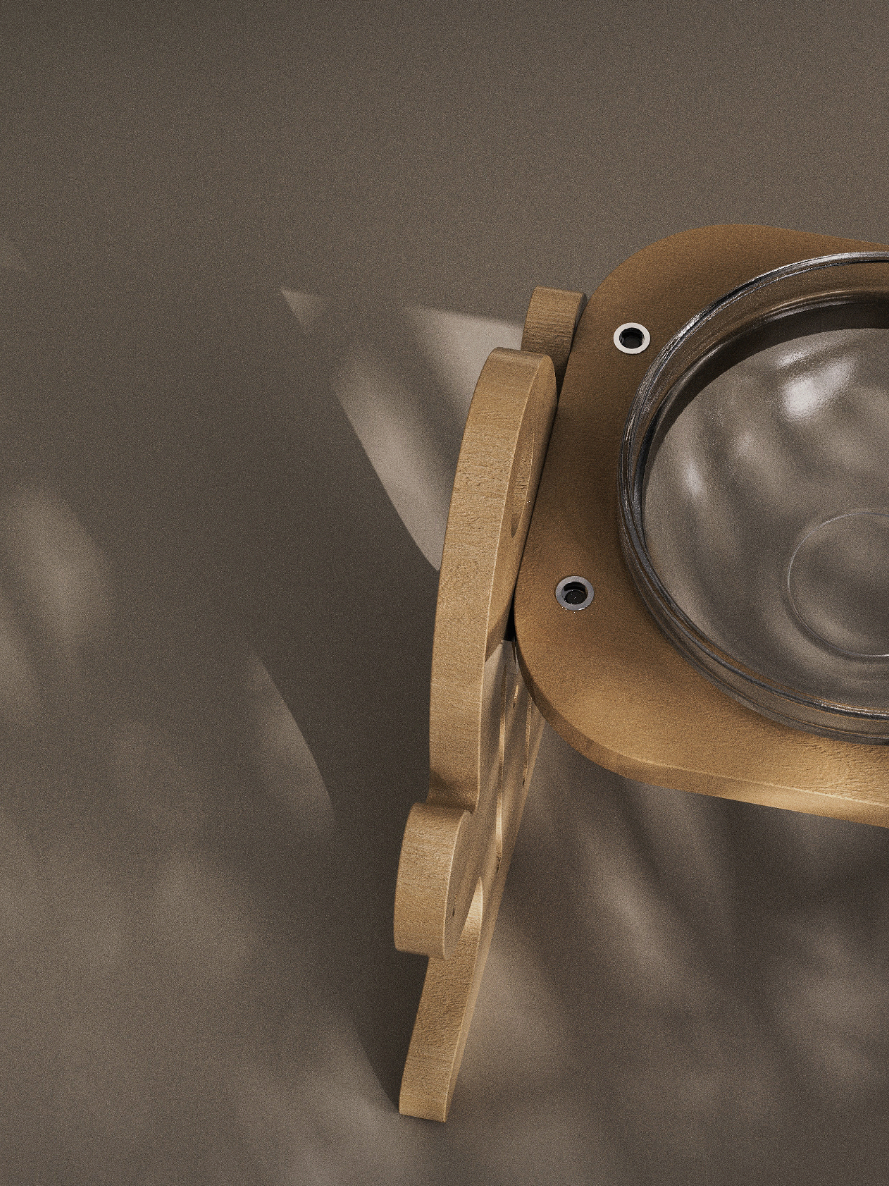 Cat bowl，cactus，solid wood，Pet bowl，interest，