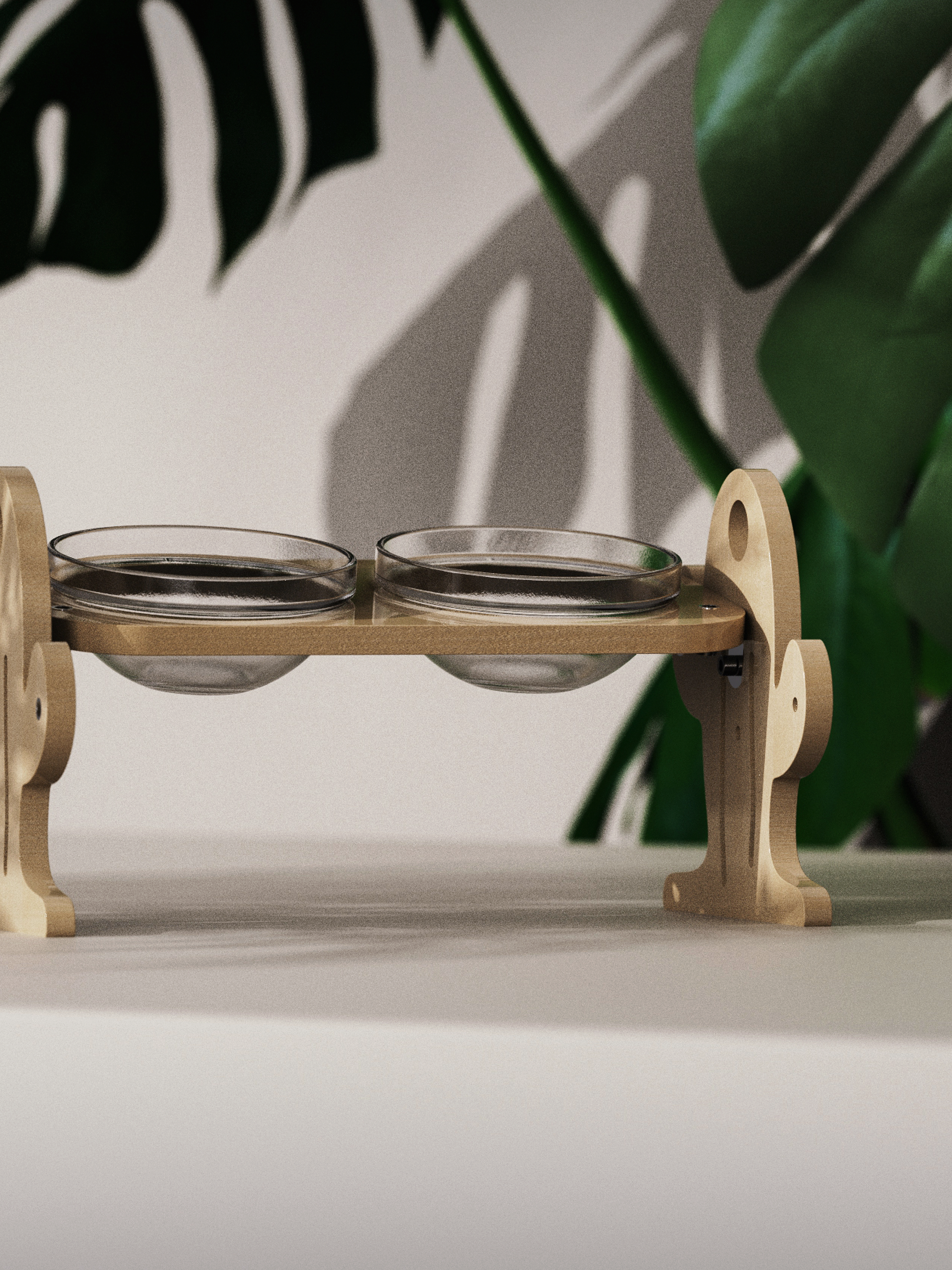 Cat bowl，cactus，solid wood，Pet bowl，interest，