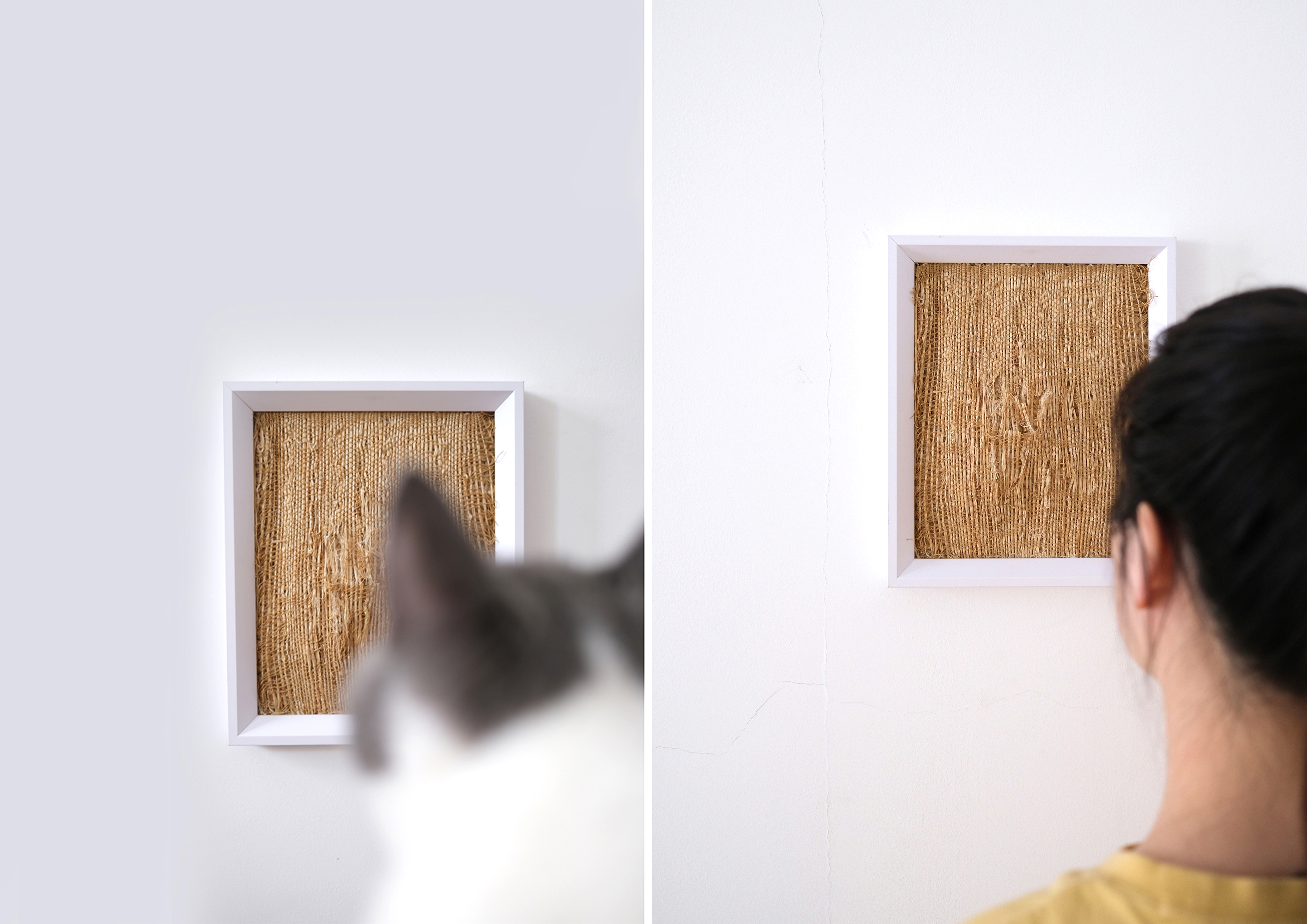 print，mark，Cat scratch board，process，