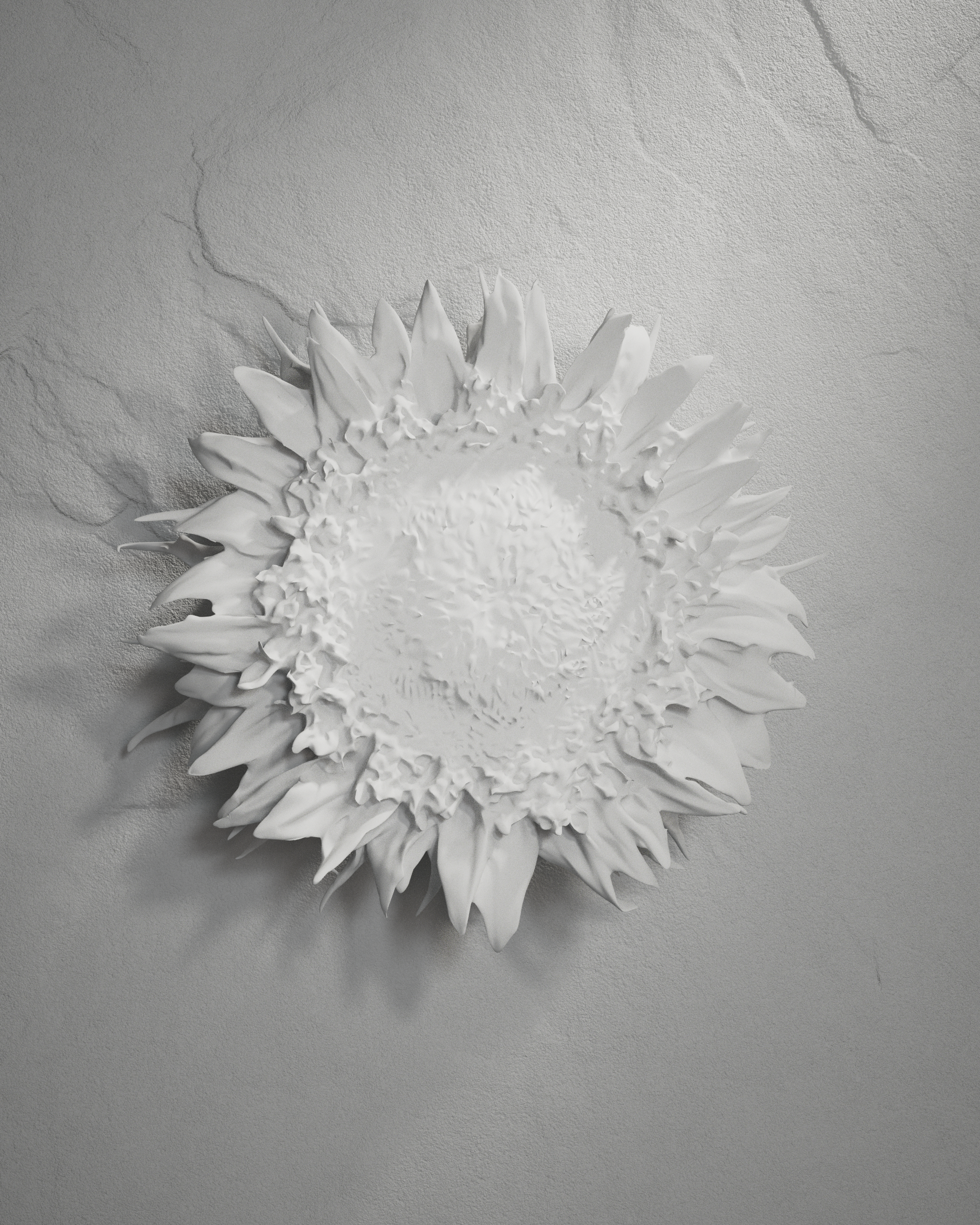 cinema4d，octane，