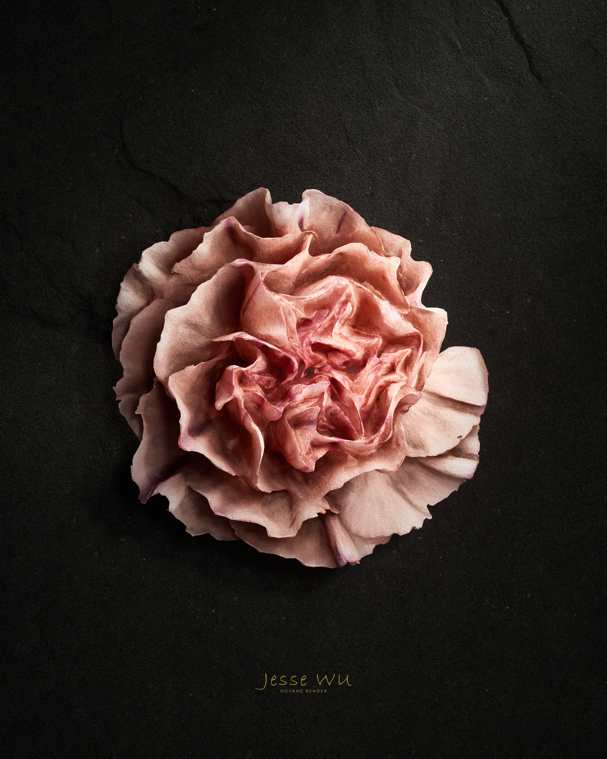 cinema4d，octane，