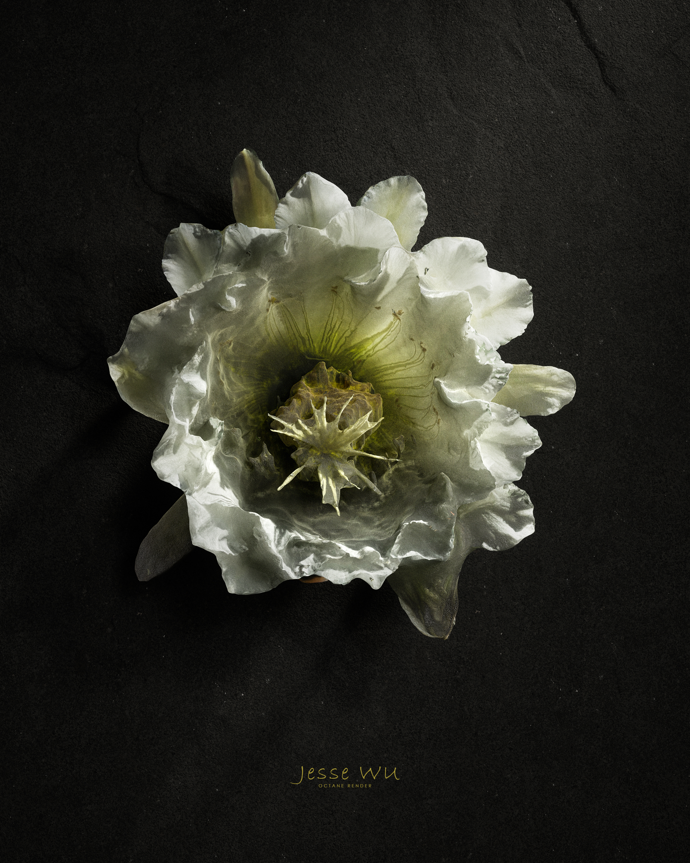 cinema4d，octane，