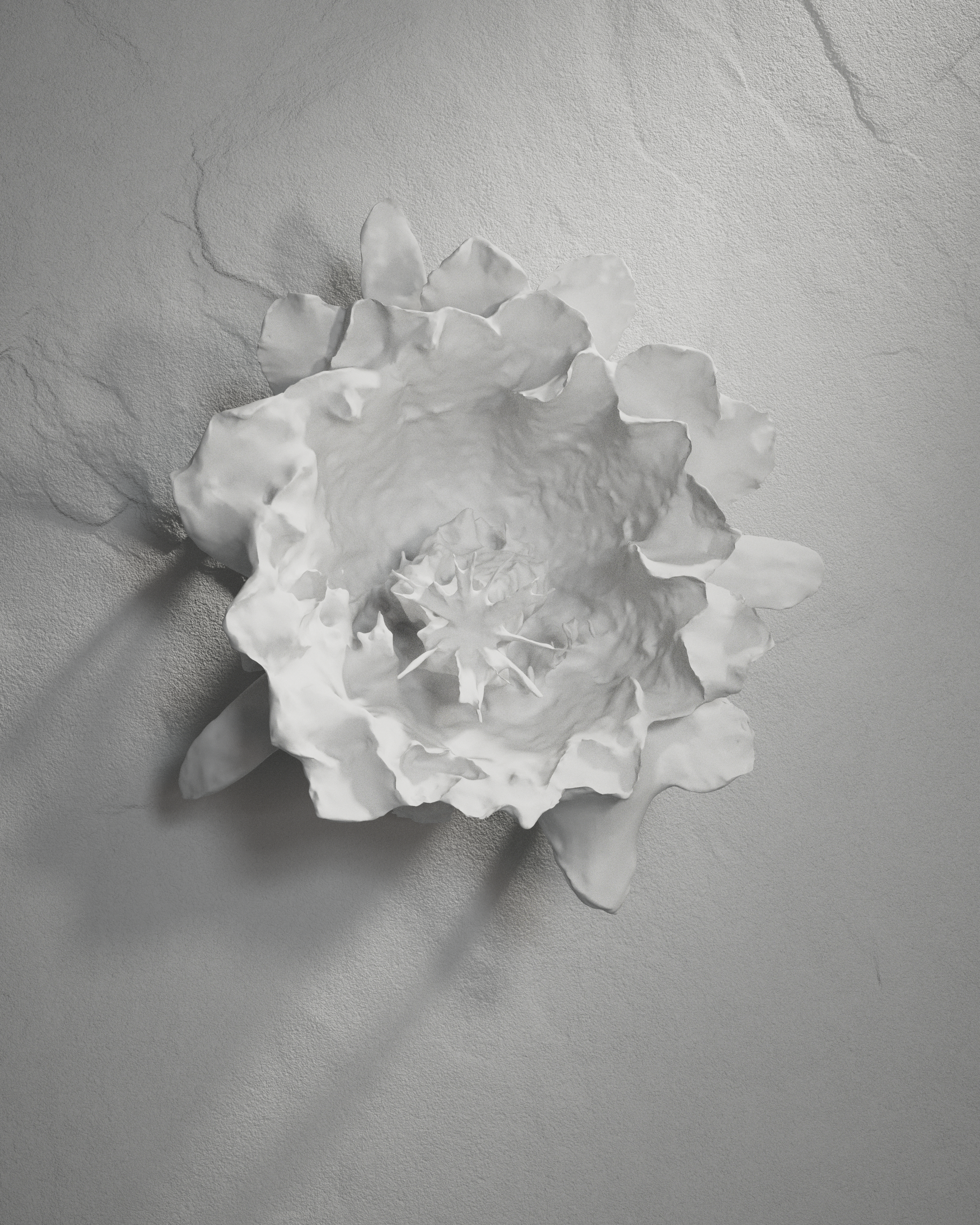 cinema4d，octane，