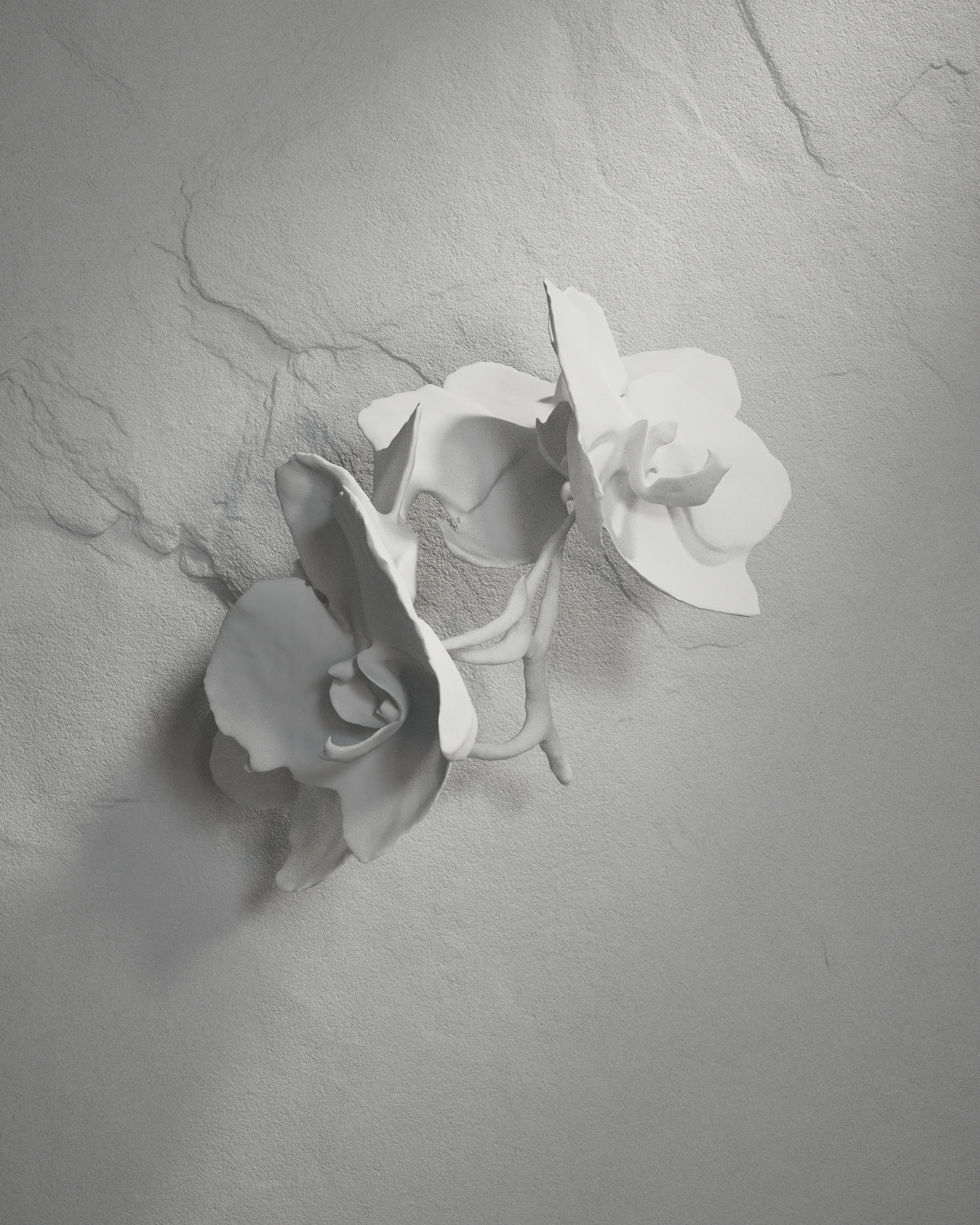 cinema4d，octane，