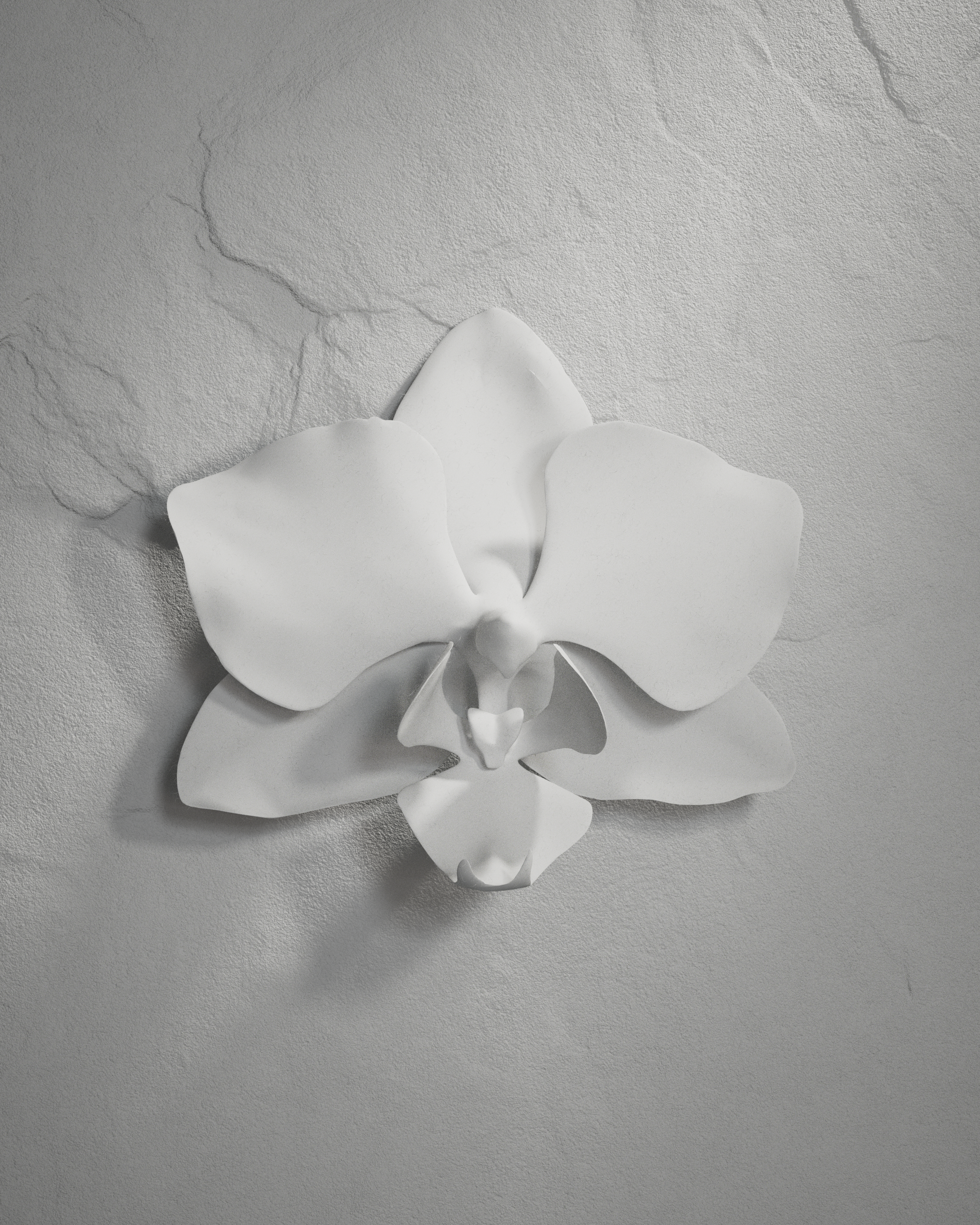 cinema4d，octane，