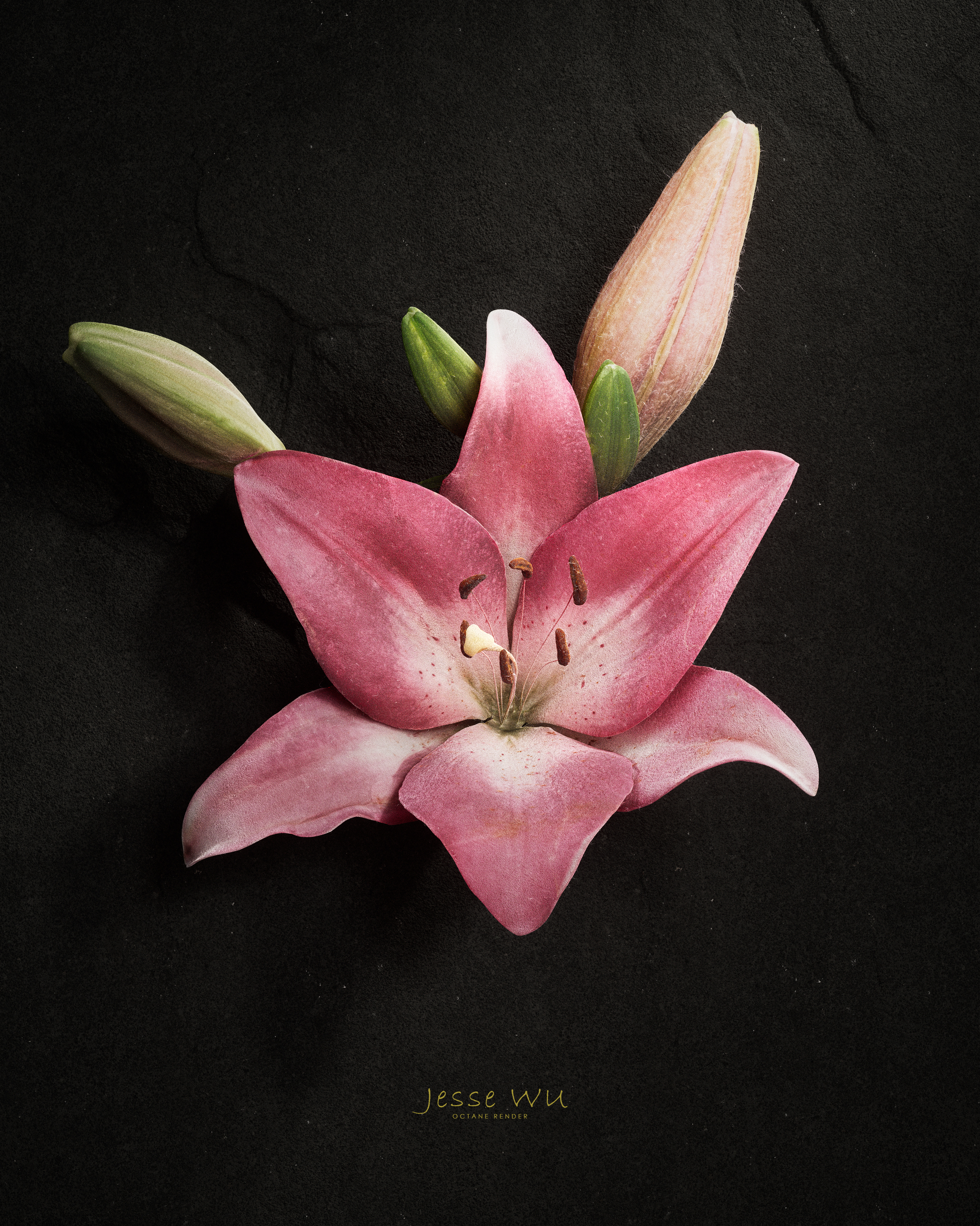 cinema4d，octane，