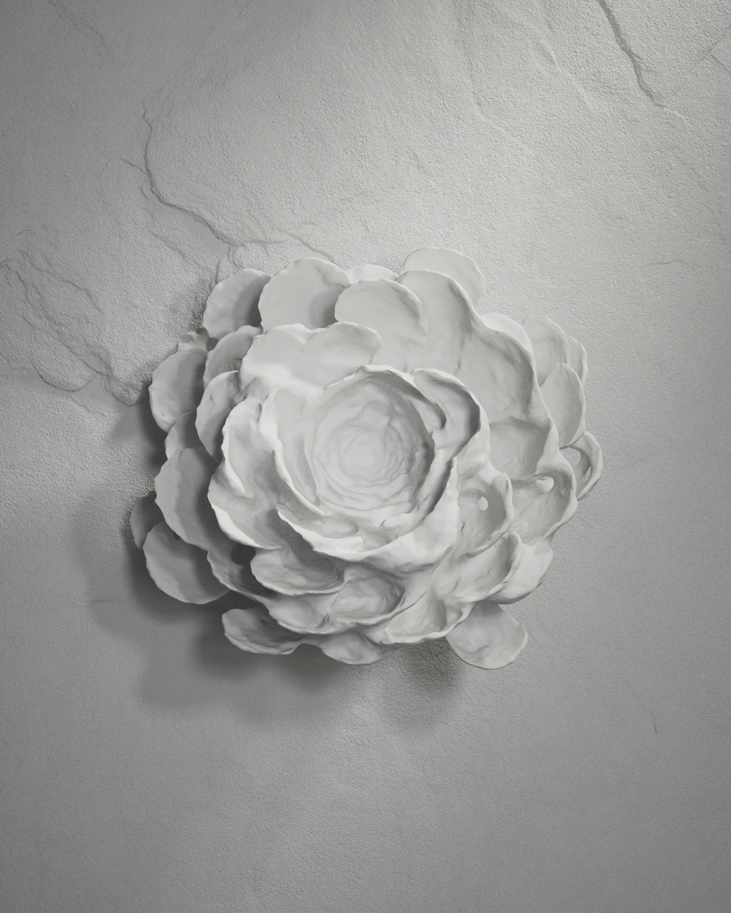 cinema4d，octane，