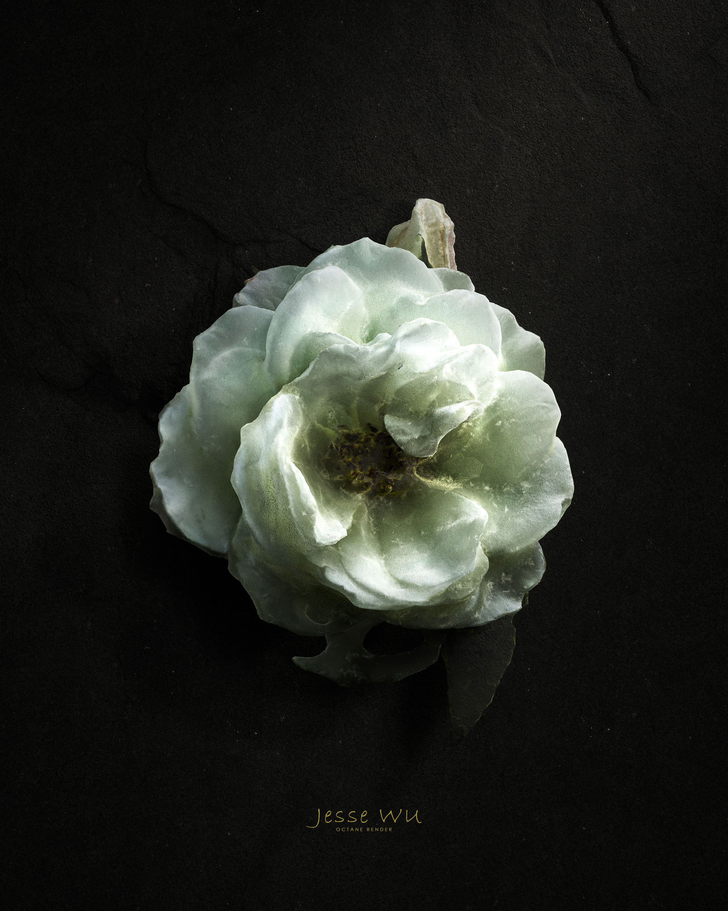 cinema4d，octane，