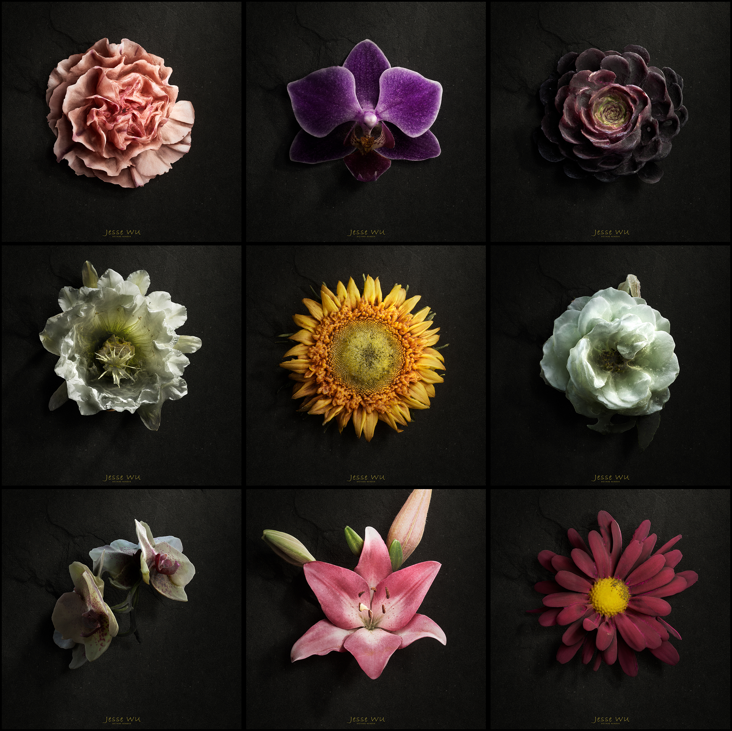 cinema4d，octane，