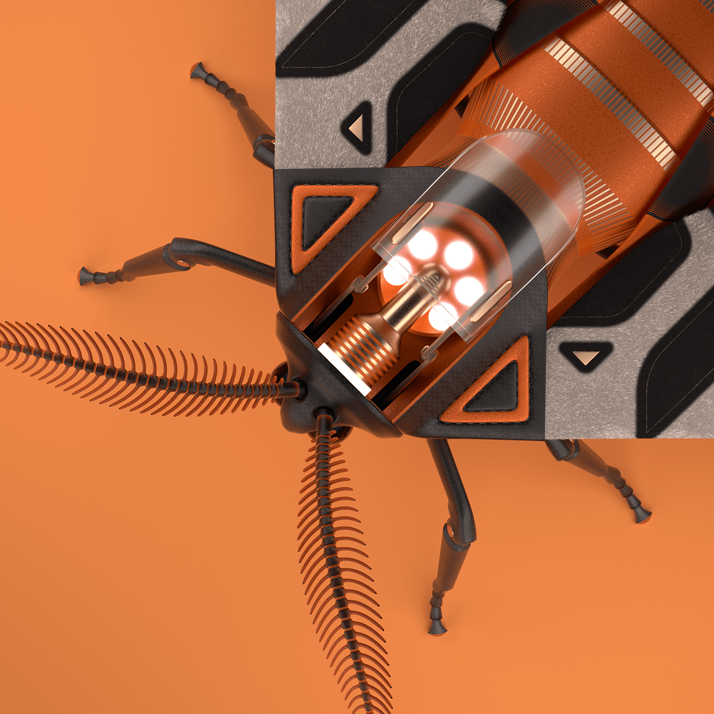 3d，insect，Toys，Tiger moth，