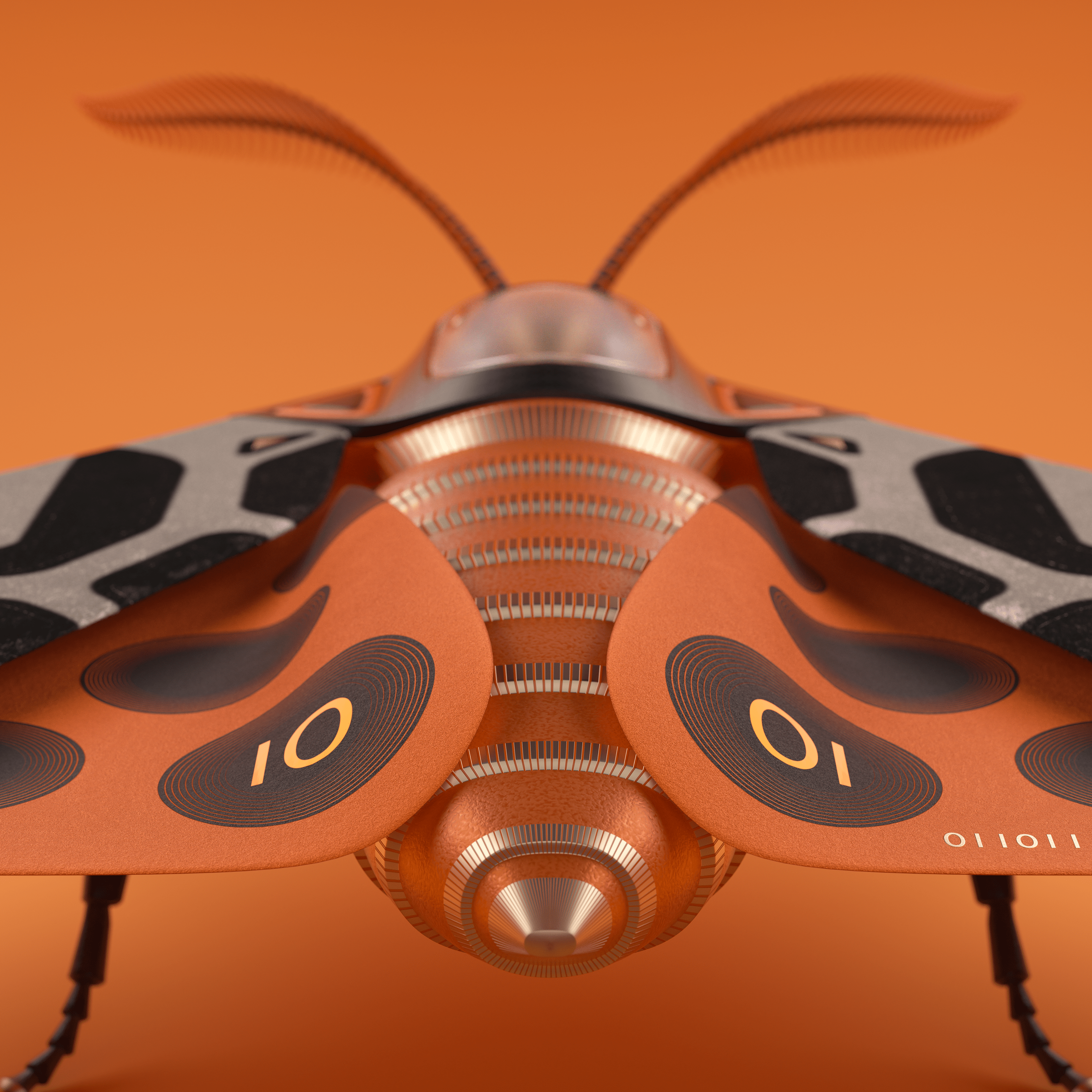 3d，insect，Toys，Tiger moth，
