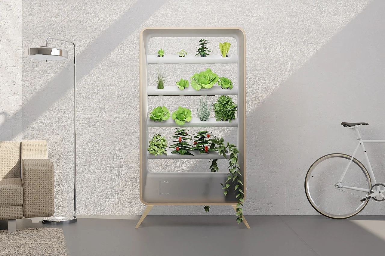Air culture，Cultivated plant，Aeroponics，