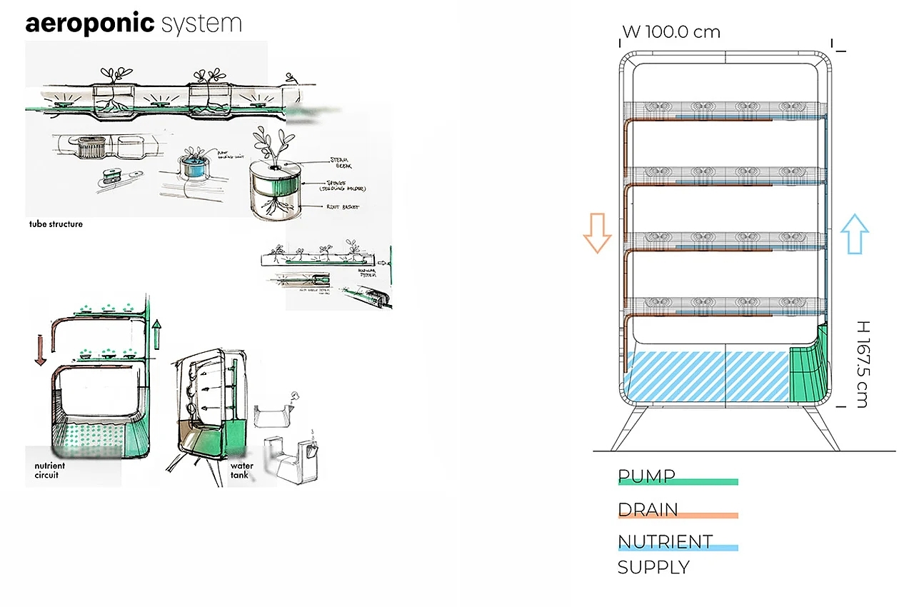 Air culture，Cultivated plant，Aeroponics，