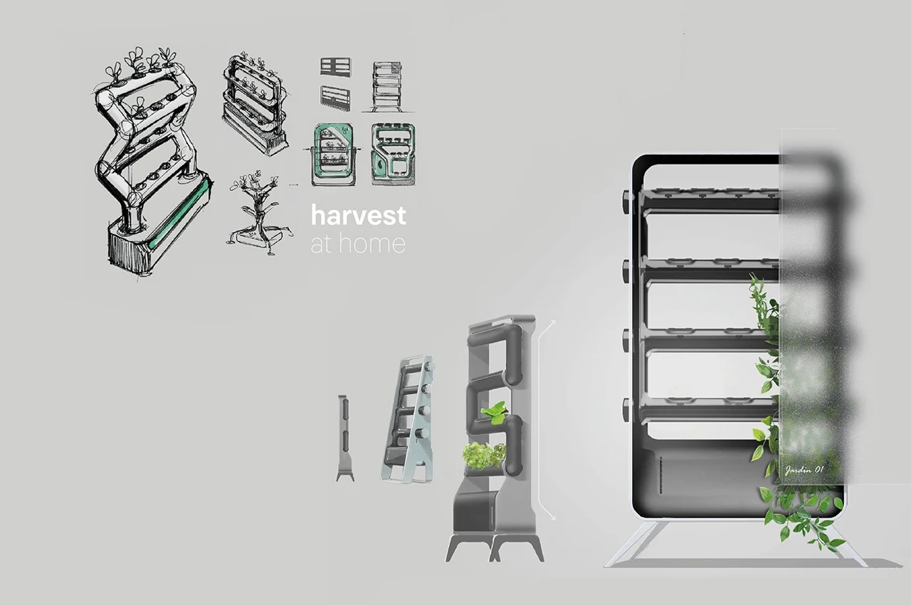 Air culture，Cultivated plant，Aeroponics，