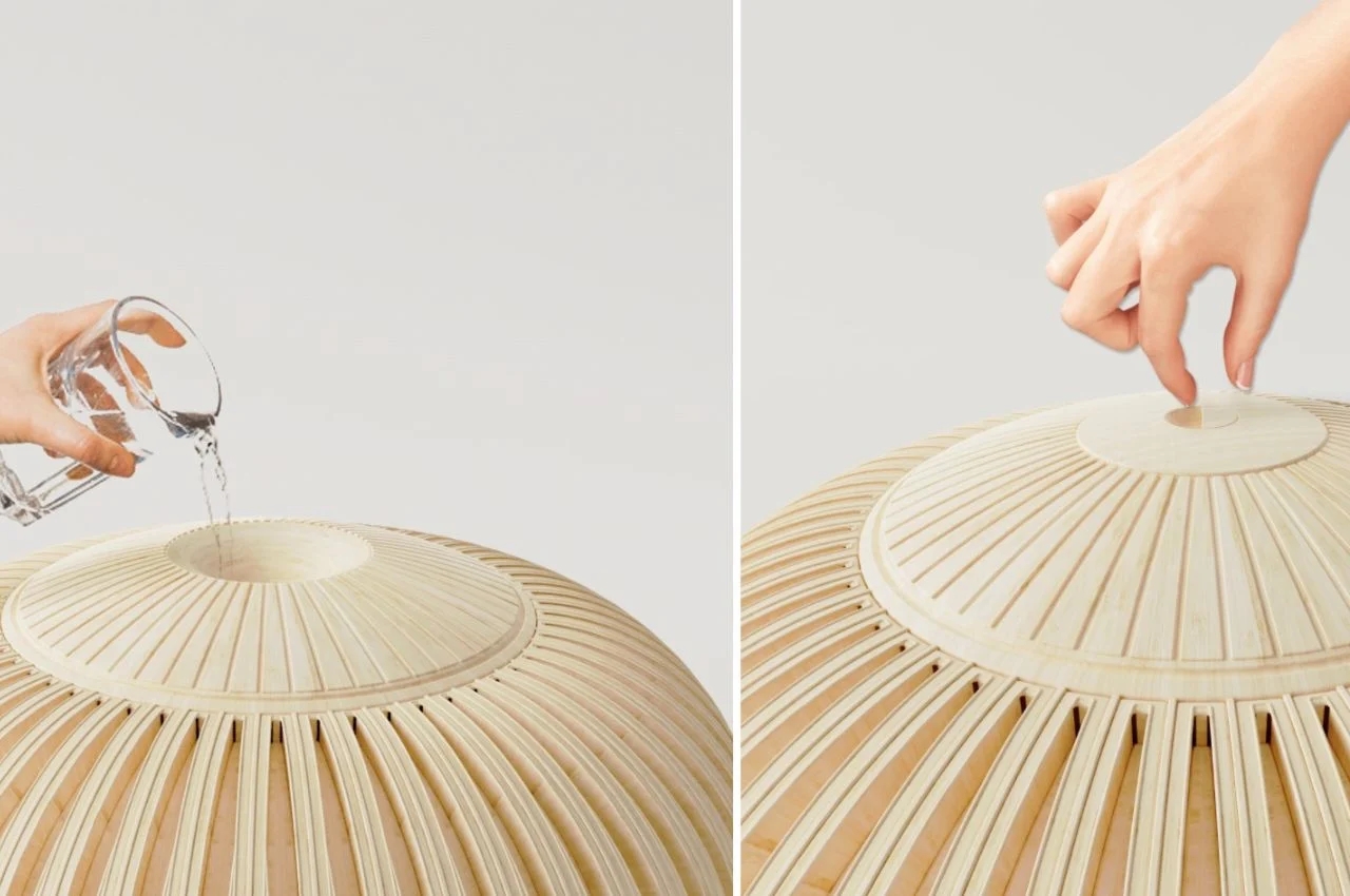 Lamp shape，plate，product design，hygiene，lantern，