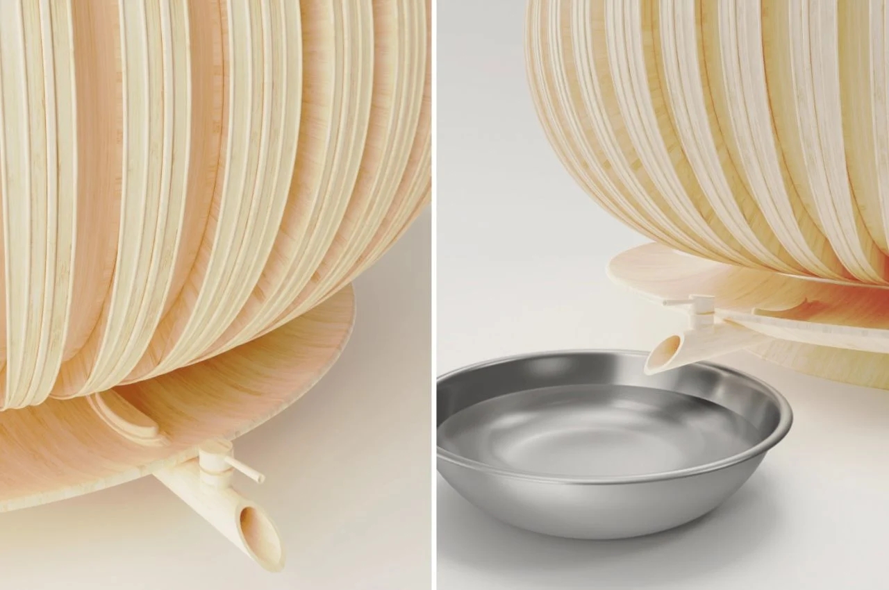 Lamp shape，plate，product design，hygiene，lantern，