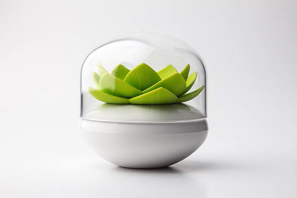 good，kitchen，noodles，Kitchenware，Lotus，petal，measure，