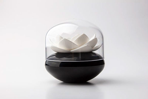 good，kitchen，noodles，Kitchenware，Lotus，petal，measure，