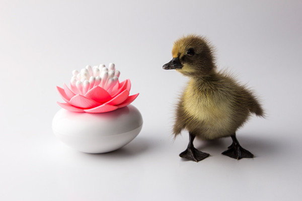 good，kitchen，noodles，Kitchenware，Lotus，petal，measure，