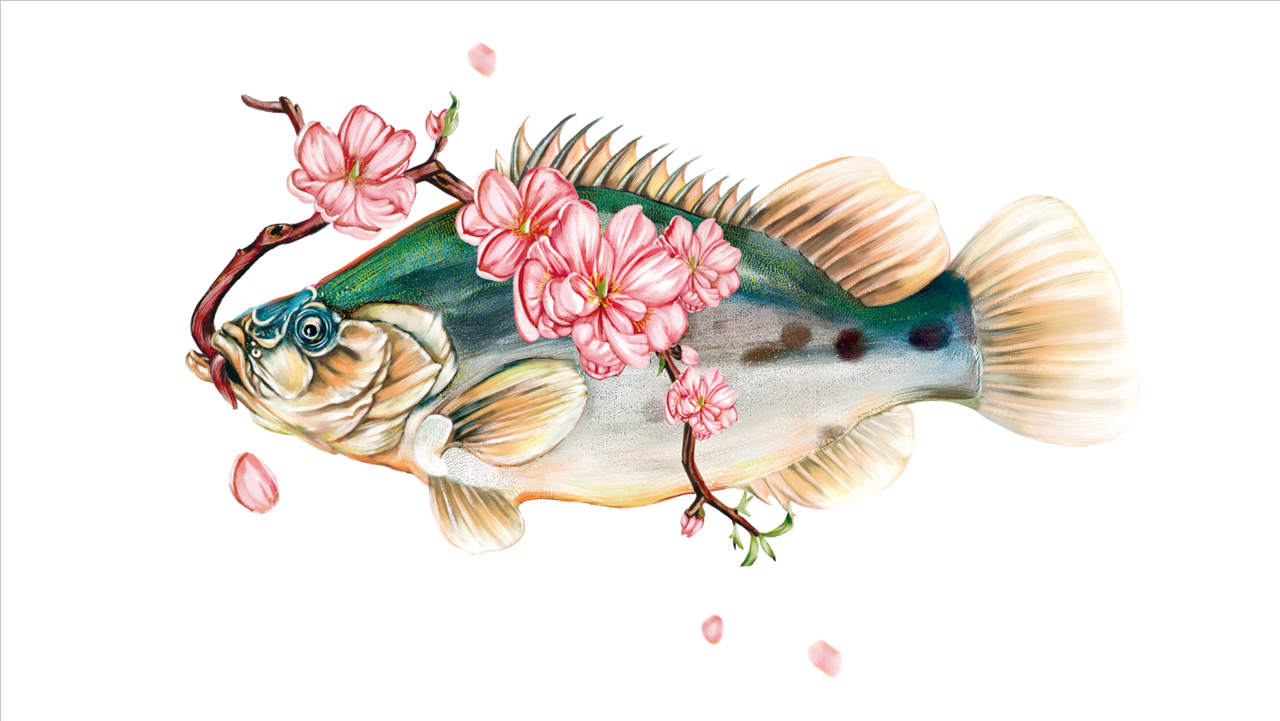 Guge Dynasty，charcot ，traditional culture，Illustration，packing，