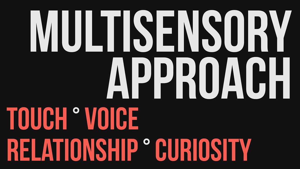 industrial design，Interaction，product design，Speaker technology，Intelligent assistant，loudspeaker box，