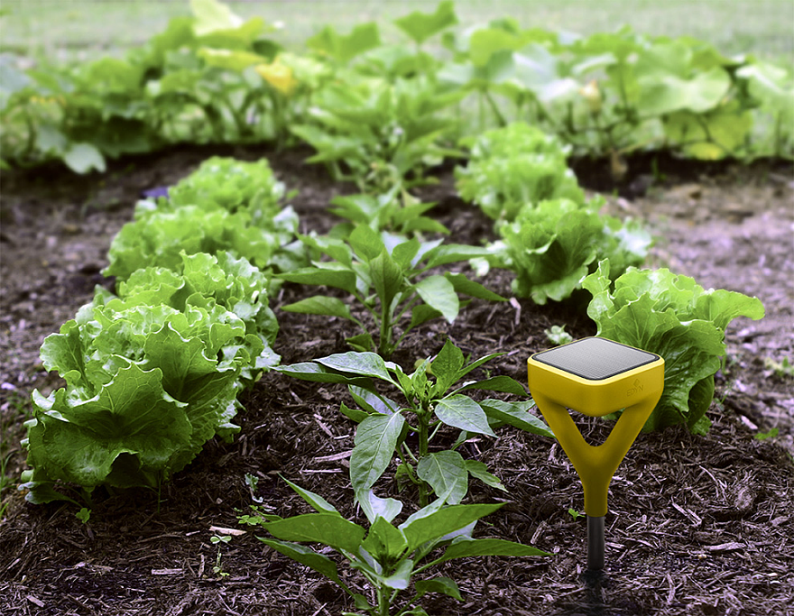 edin，Plant sensor，intelligence，testing，