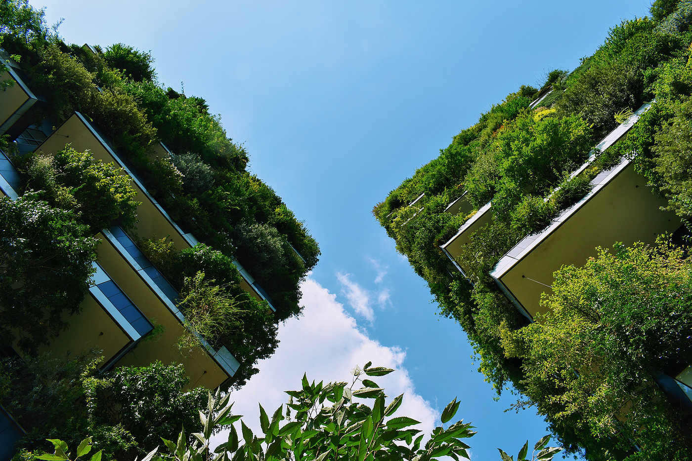 3D printing，Acoustic panel，Biophilic design，Public furniture，public space ，Green planting，Flowerpot，