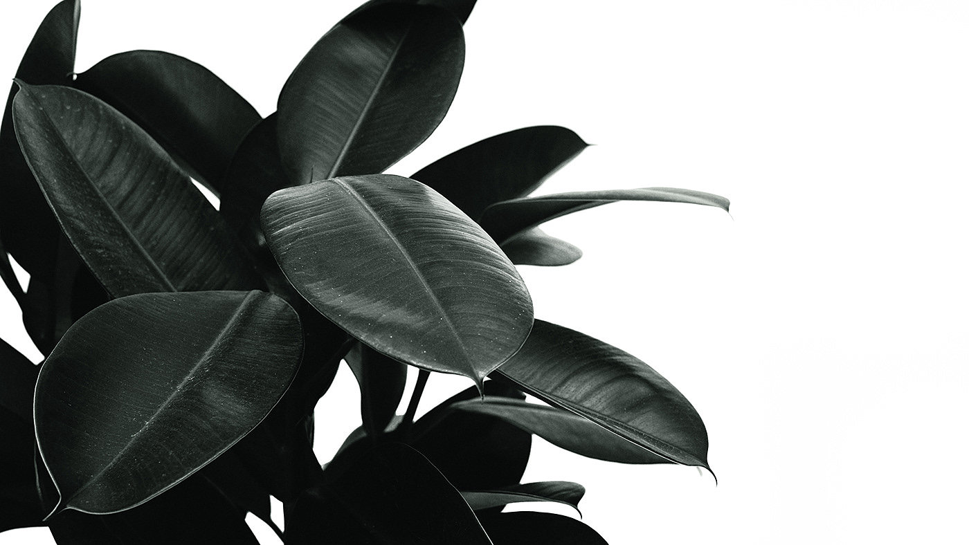 3D printing，Acoustic panel，Biophilic design，Public furniture，public space ，Green planting，Flowerpot，