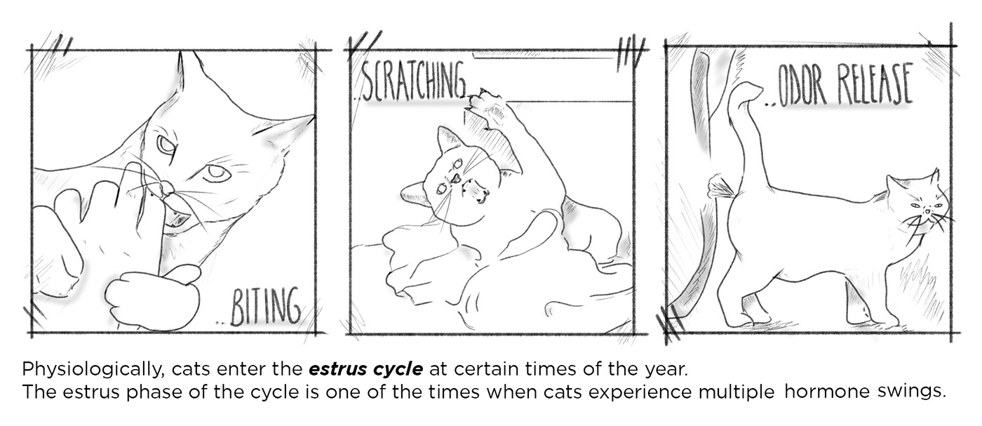 Graphic Artist Designer，Graphic combination，industrial design，product design，Product introduction，