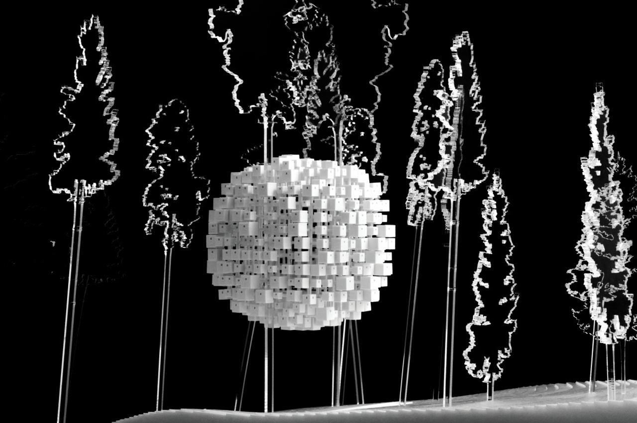 Bird's nest，immersive ，wood，stone，Treehotel，