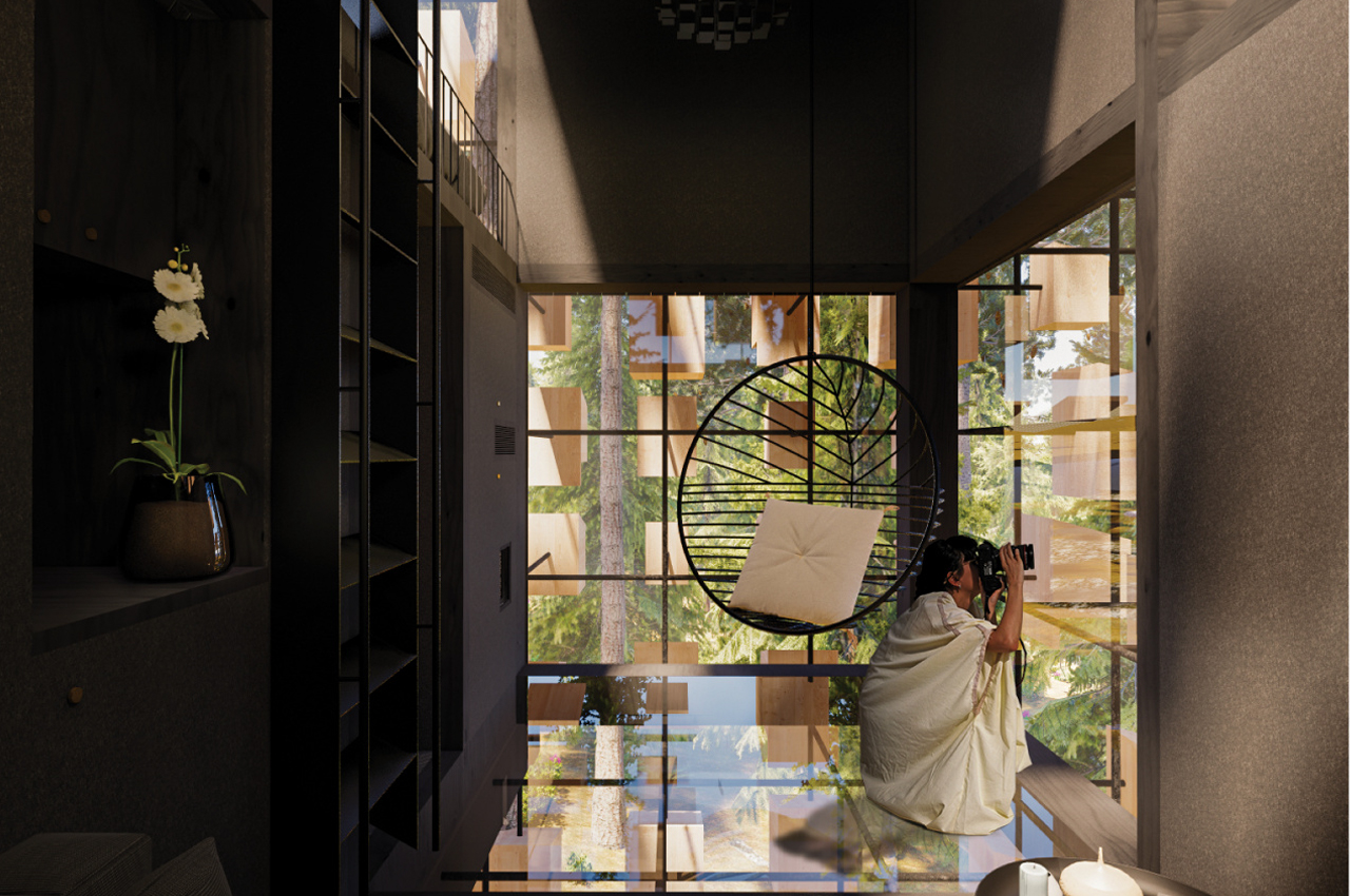 Bird's nest，immersive ，wood，stone，Treehotel，