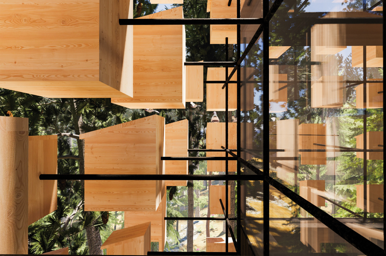 Bird's nest，immersive ，wood，stone，Treehotel，