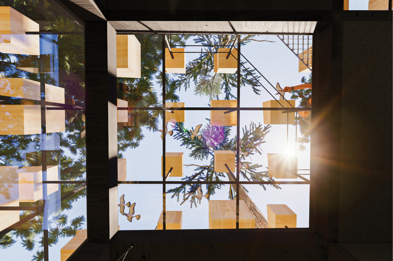 Bird's nest，immersive ，wood，stone，Treehotel，