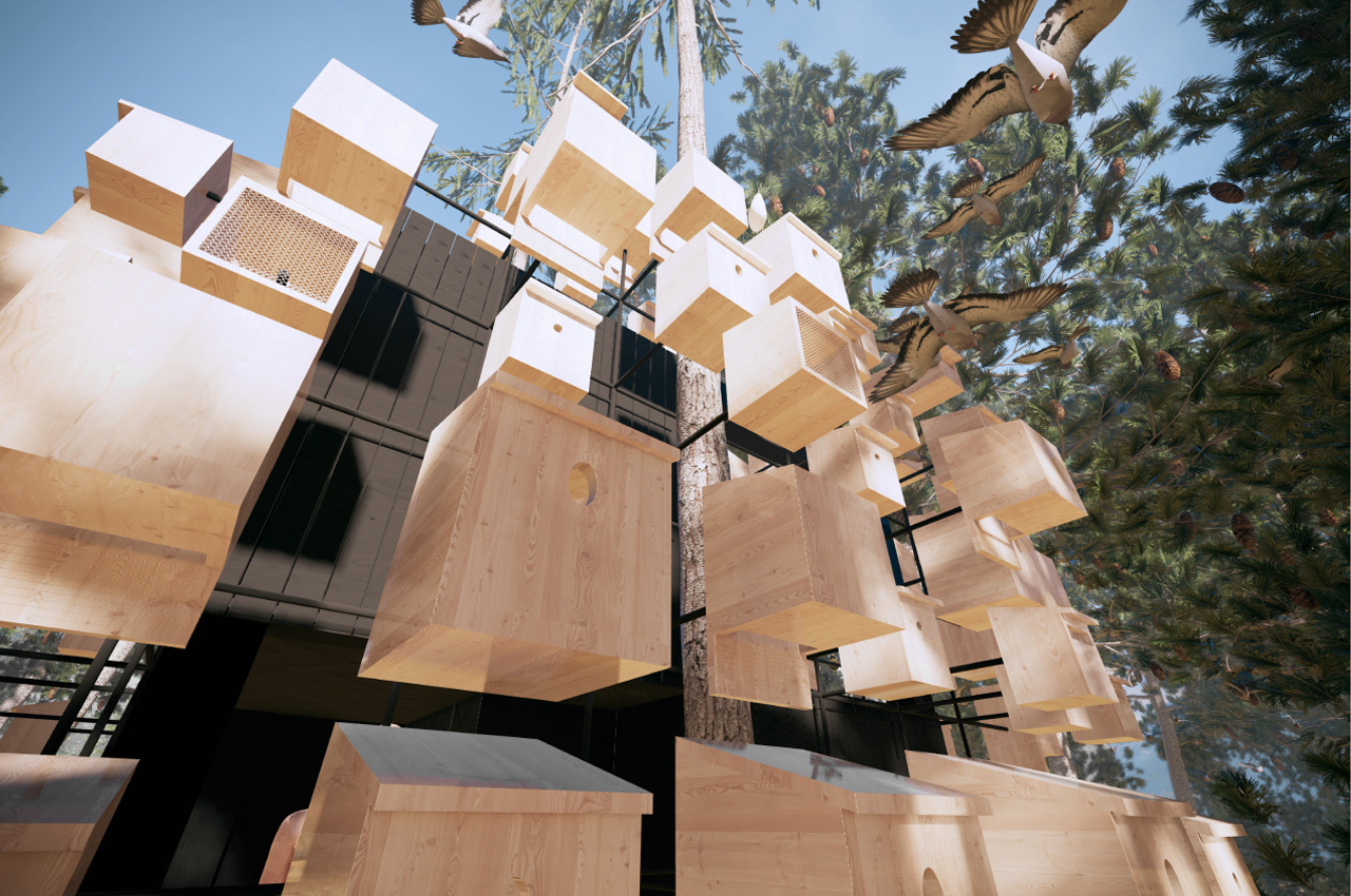 Bird's nest，immersive ，wood，stone，Treehotel，