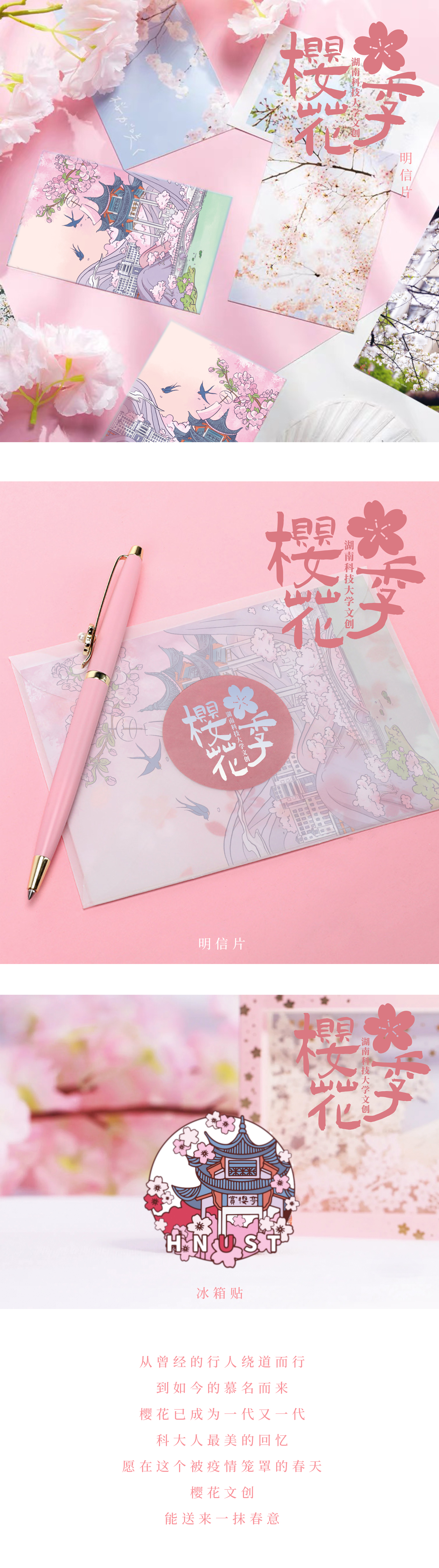 Cultural creation，campus，cherry blossoms，