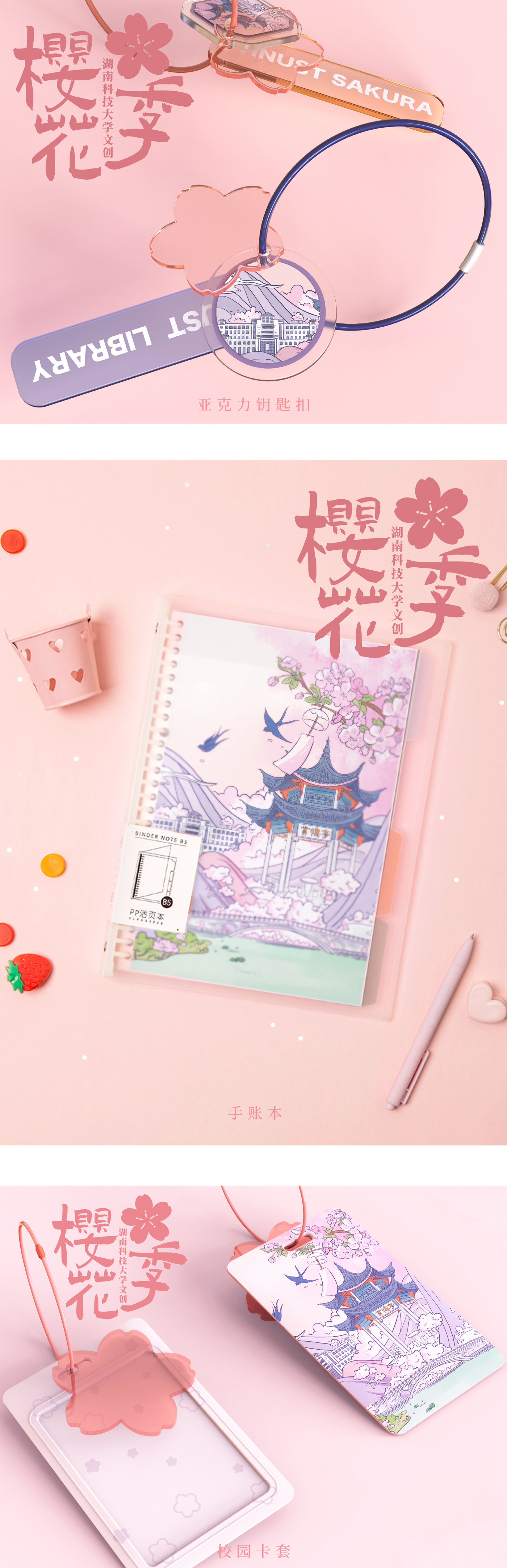 Cultural creation，campus，cherry blossoms，