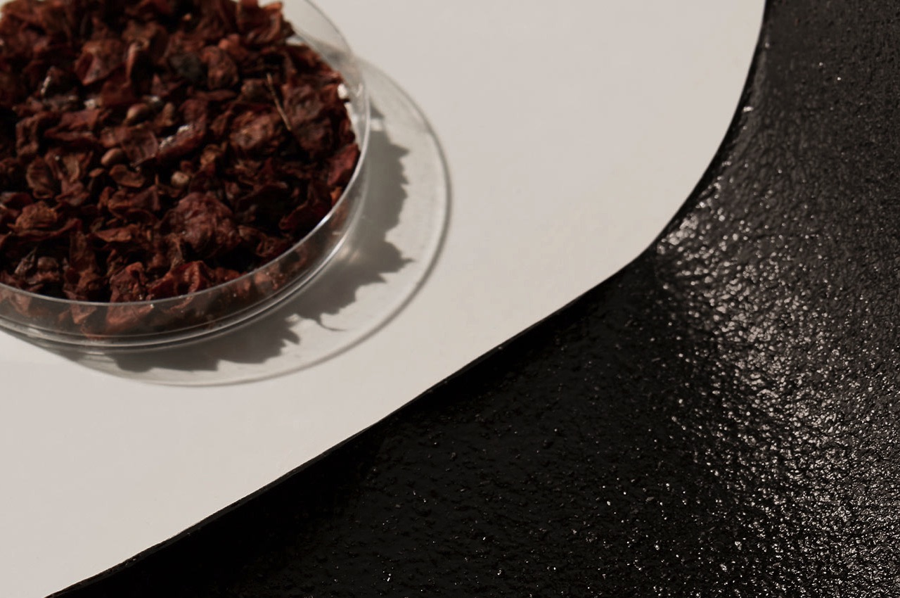 environment protection，knapsack，Grape skin，Fashion products，