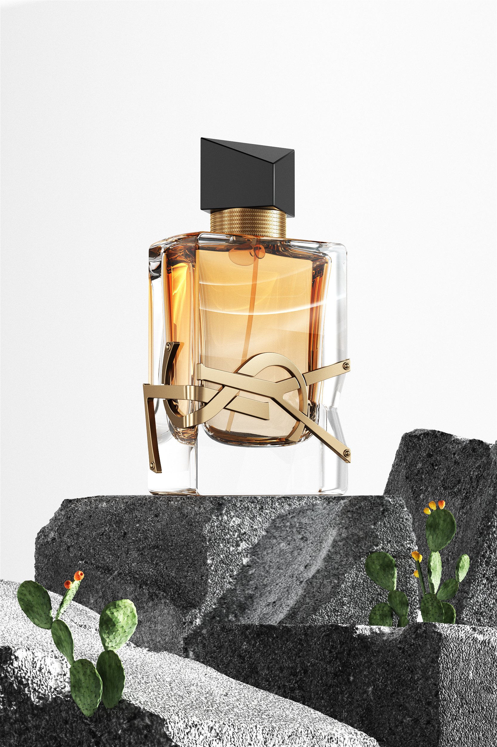 practice，automobile，scene，