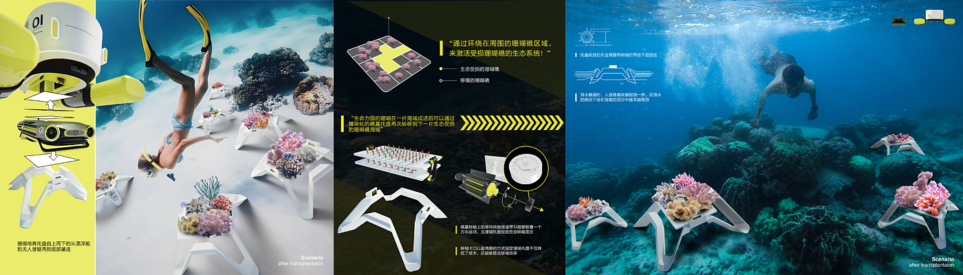 珊瑚白化，海洋生态，工业设计，无人潜水器，产品设计，天津美术学院，