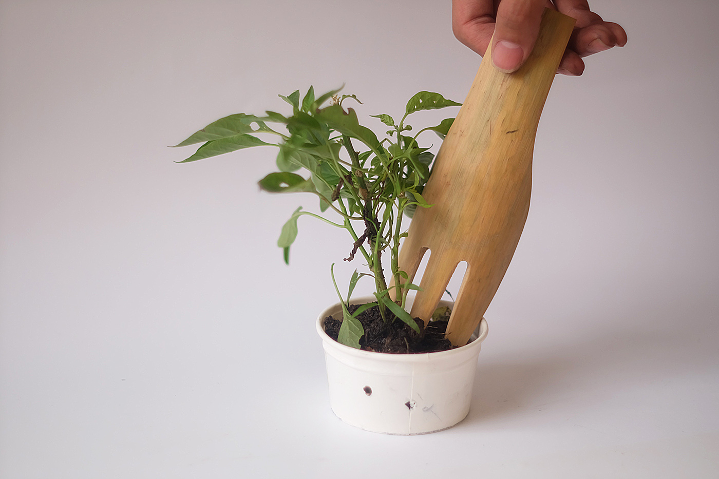 save failed，gardening，cube，