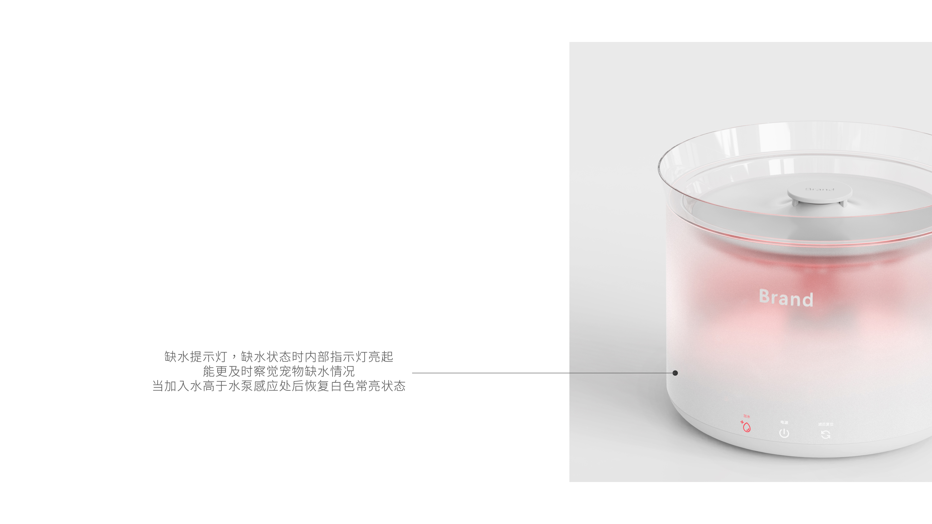 Pets，Simplicity，