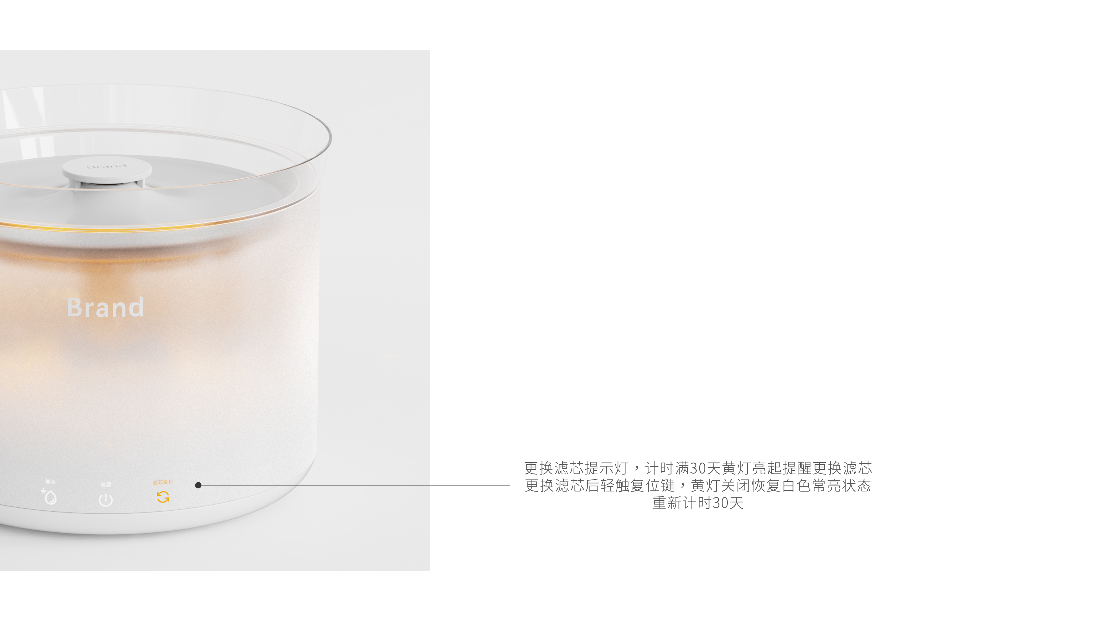 Pets，Simplicity，