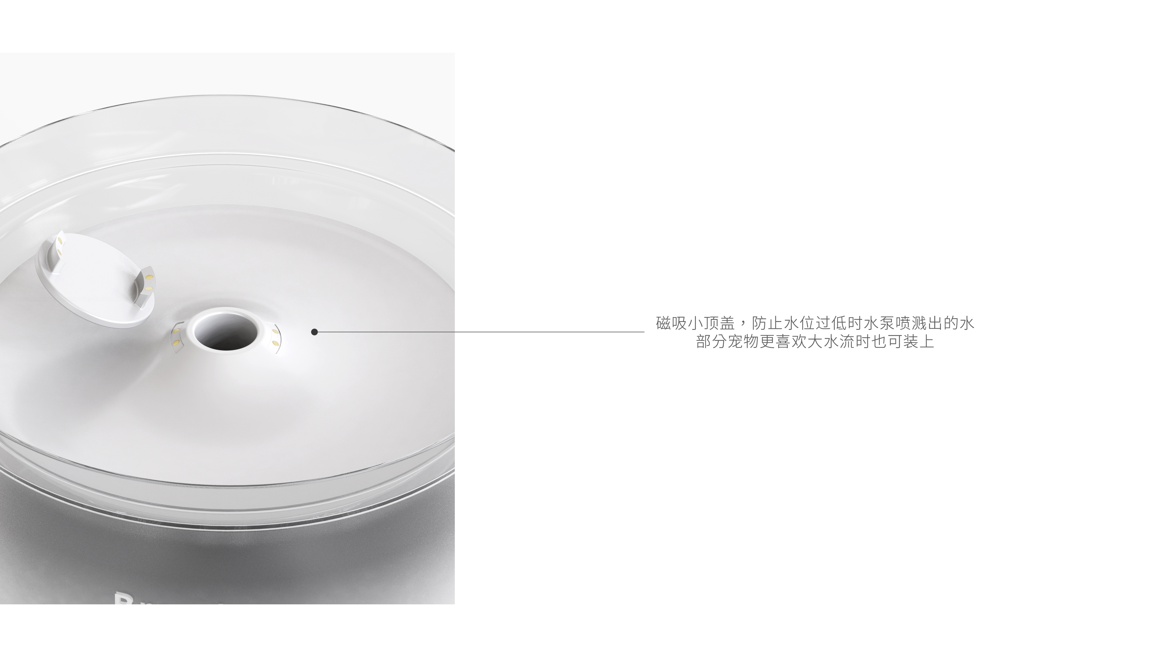 Pets，Simplicity，