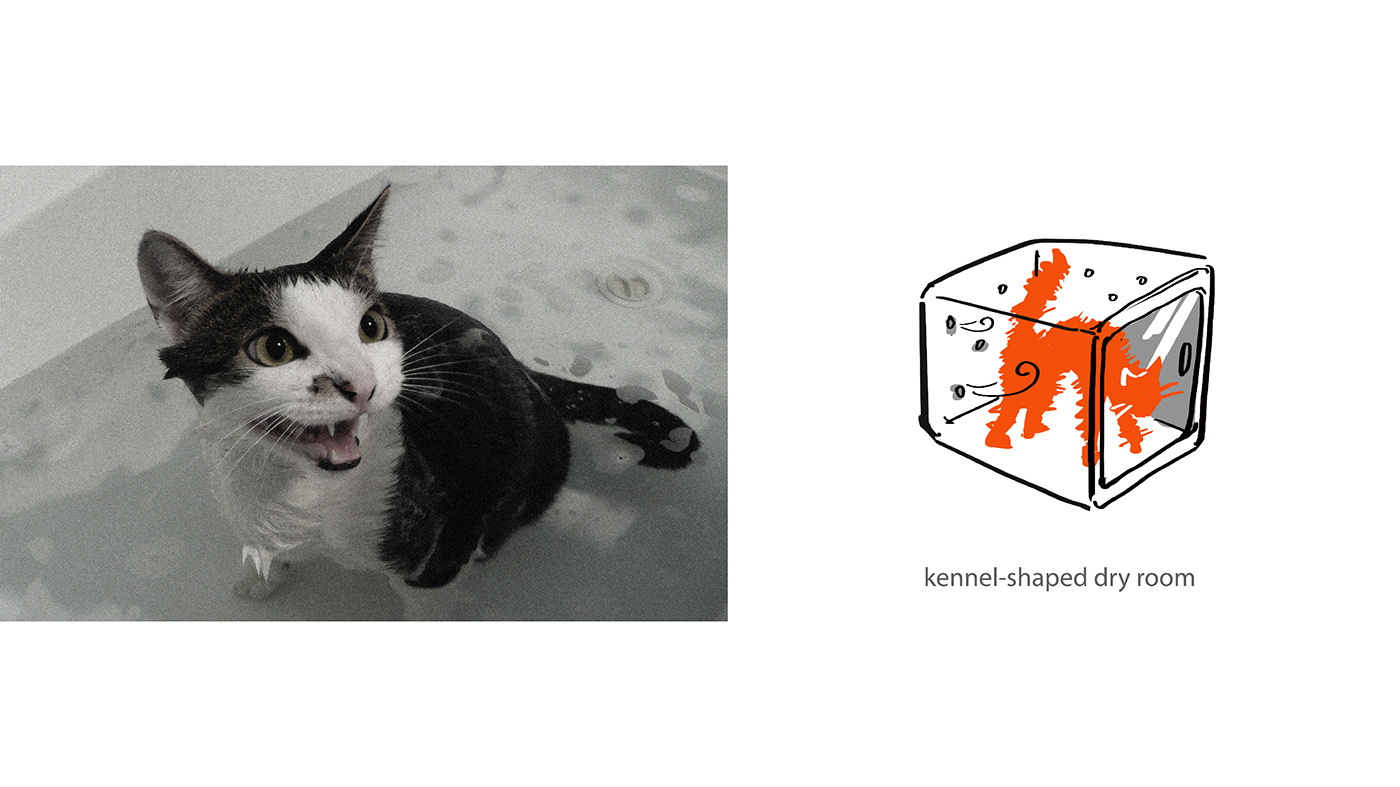 Pets，dry，originality，