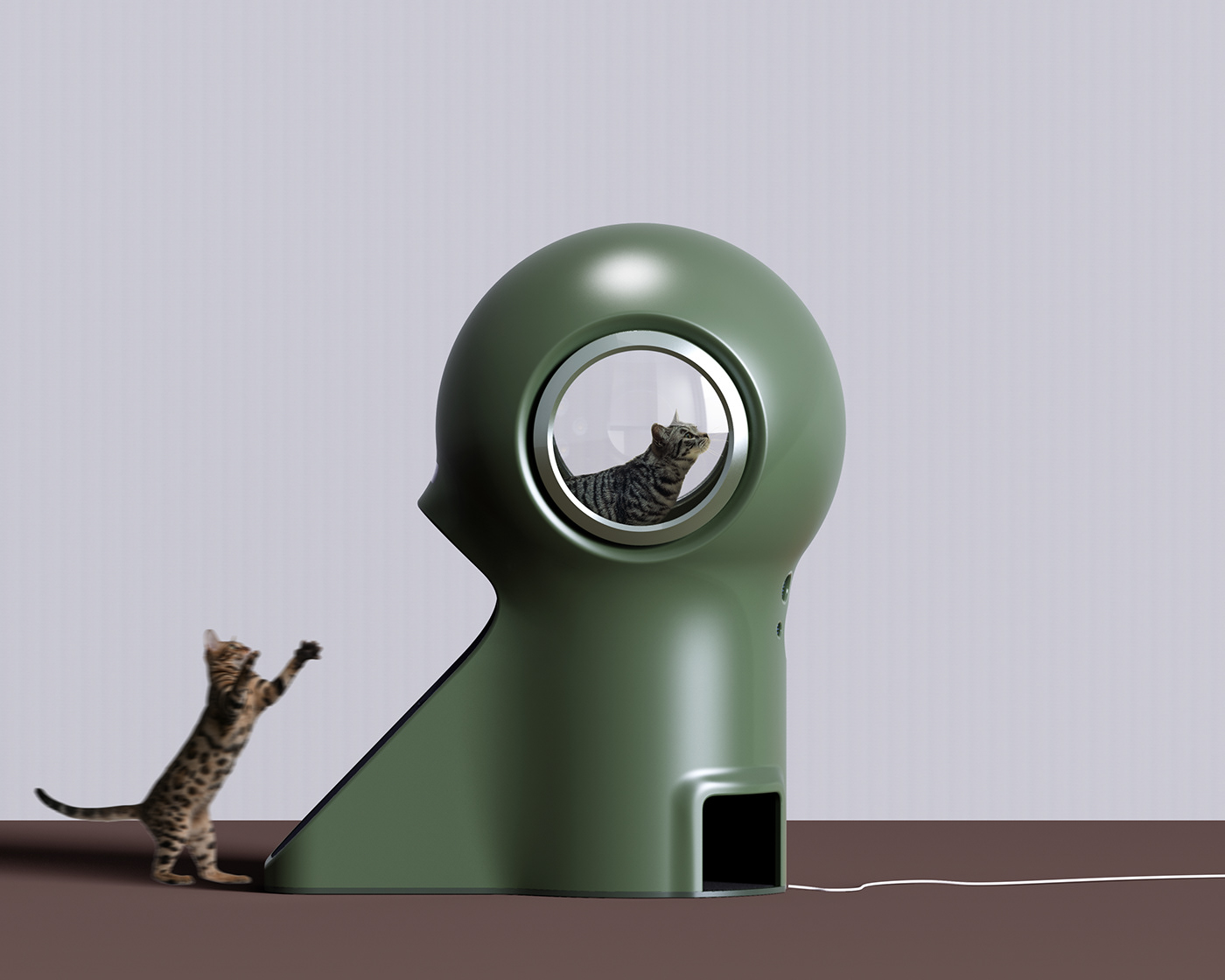 Pets，dry，originality，