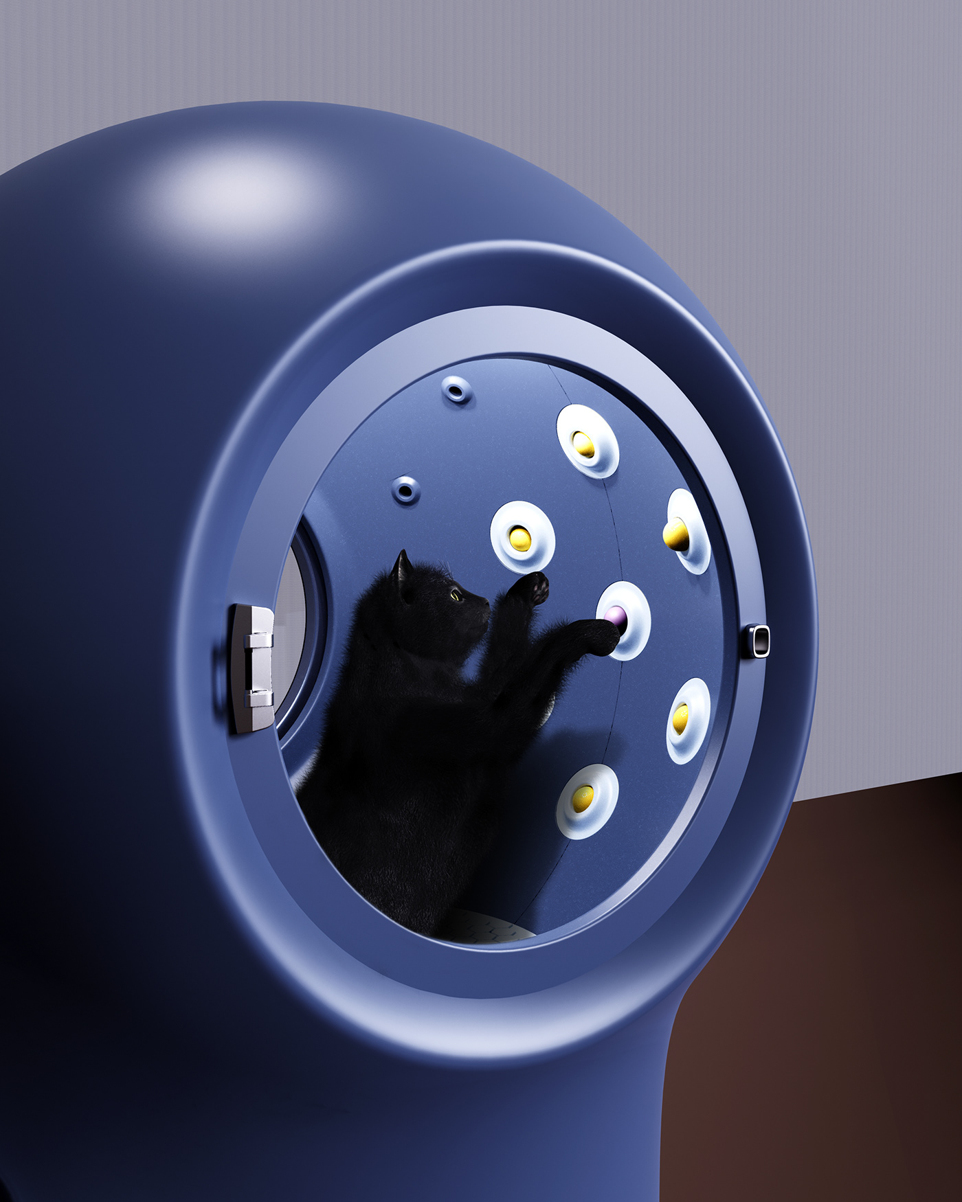 Pets，dry，originality，