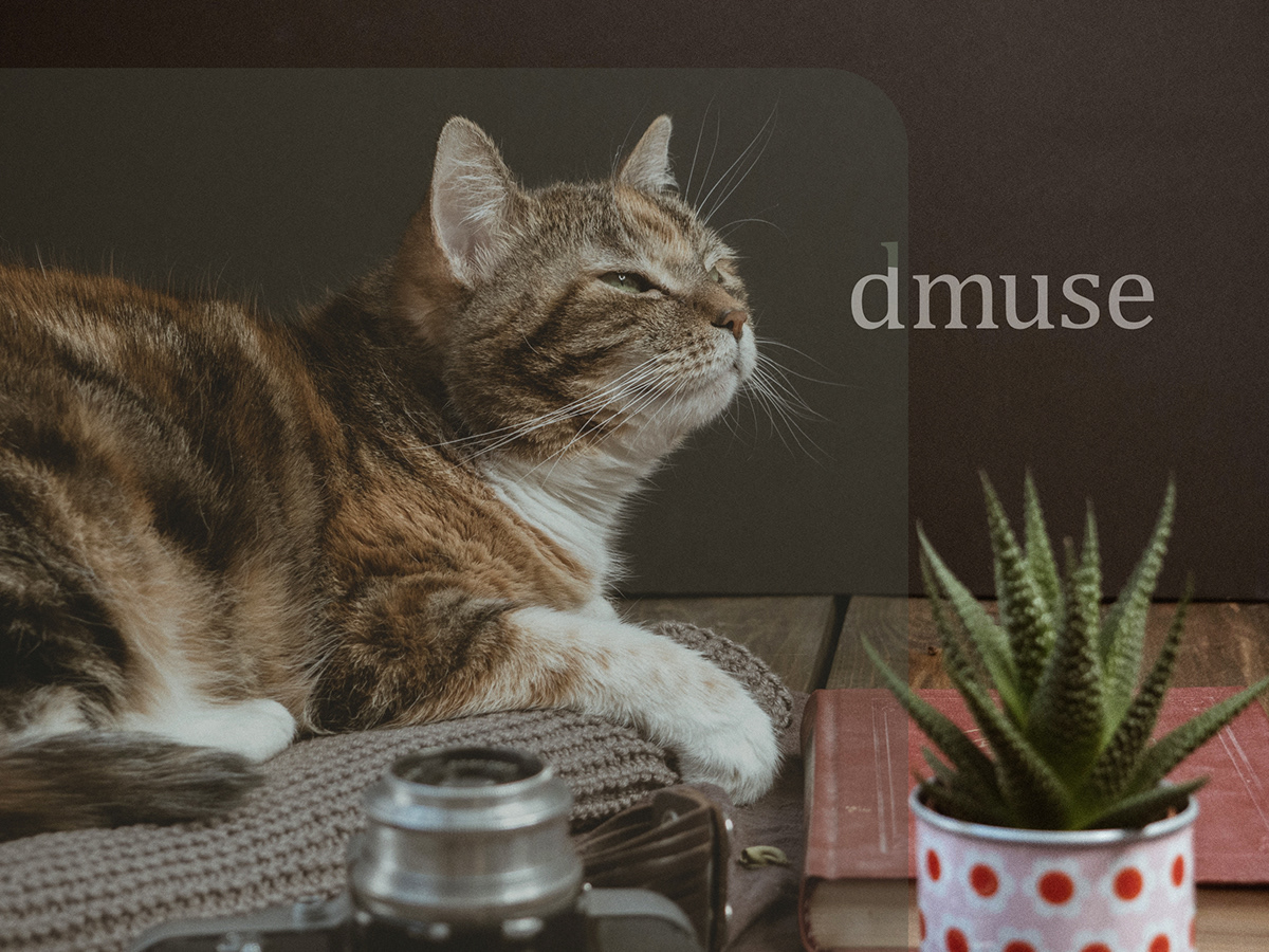 Pets，dry，originality，