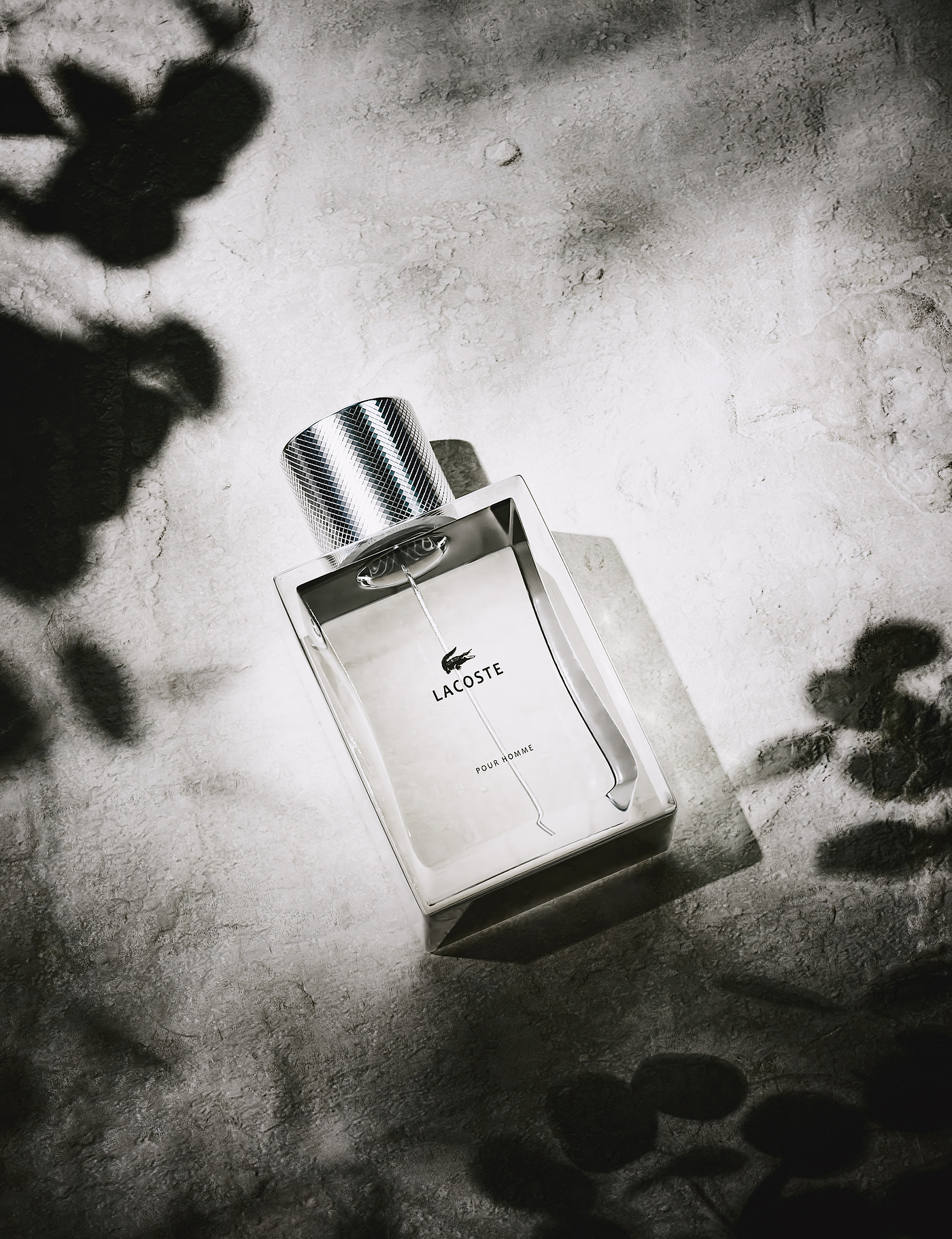 c4d，octane，Product rendering，esthetics，Light and shadow，